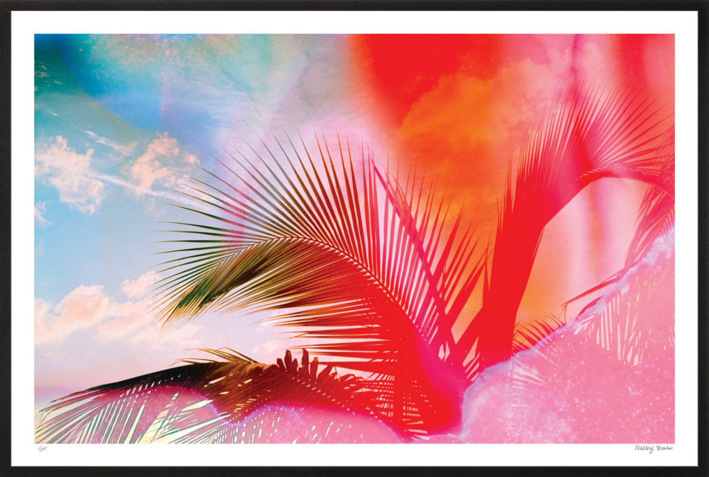 Fire Fronds