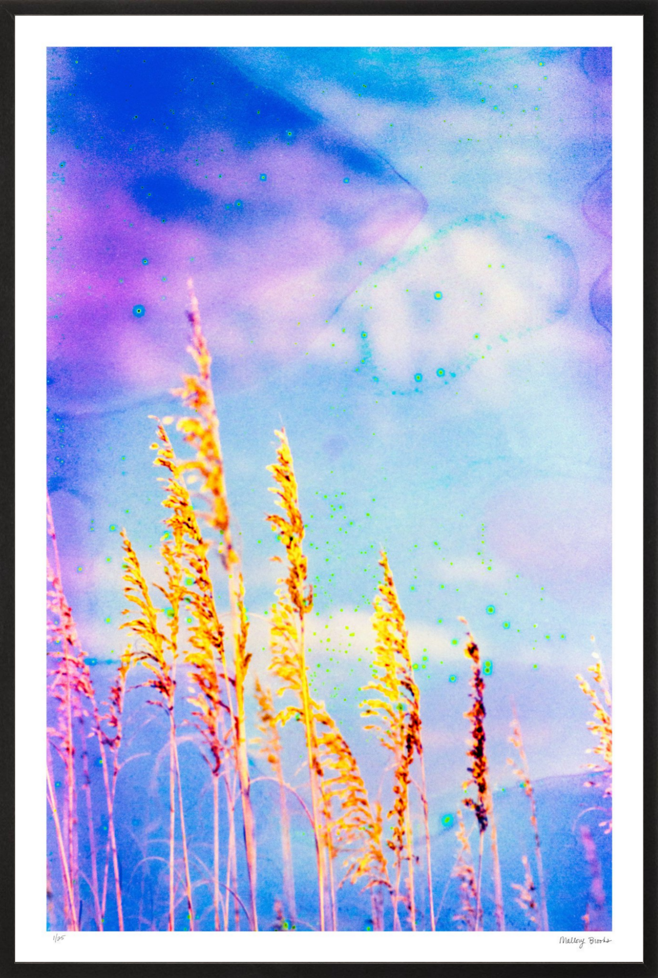 Sea Oat Blues