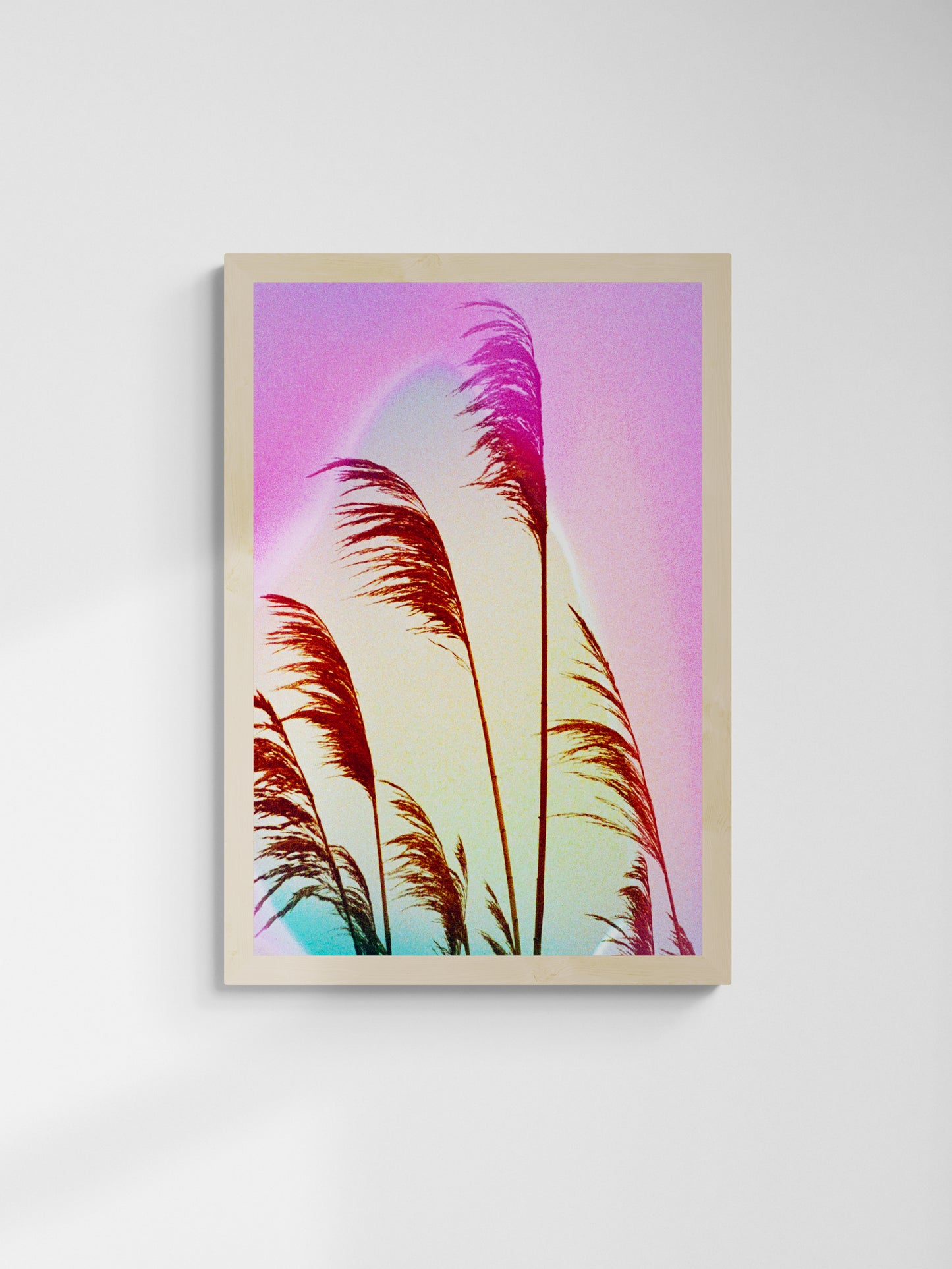 Feather Oats