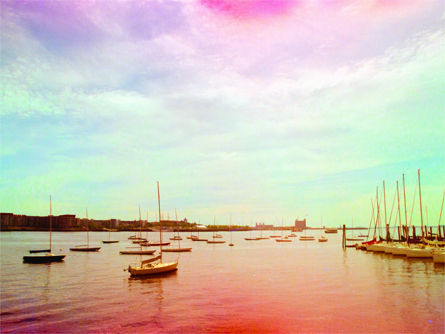 Boats in the Harbor