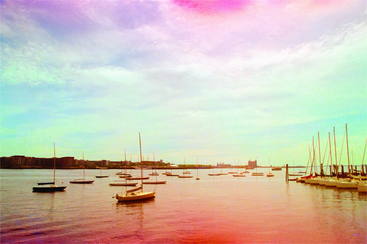 Boats in the Harbor