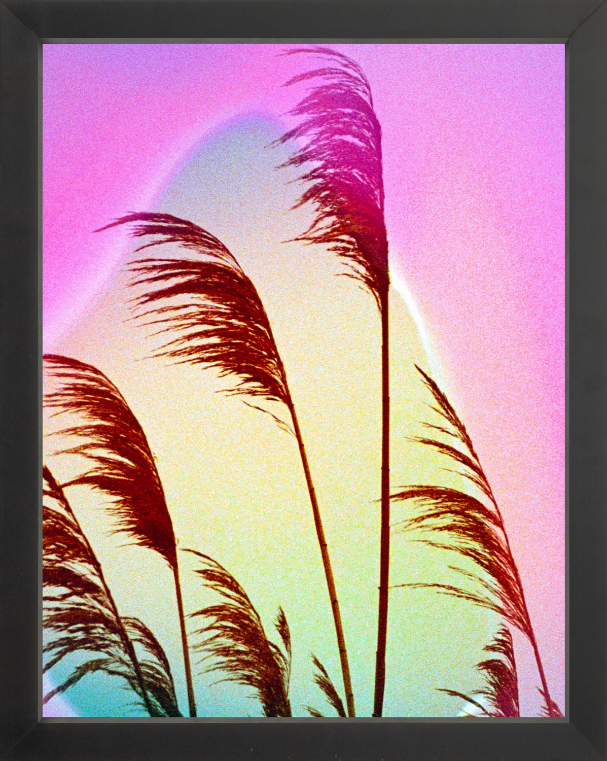 Feather Oats