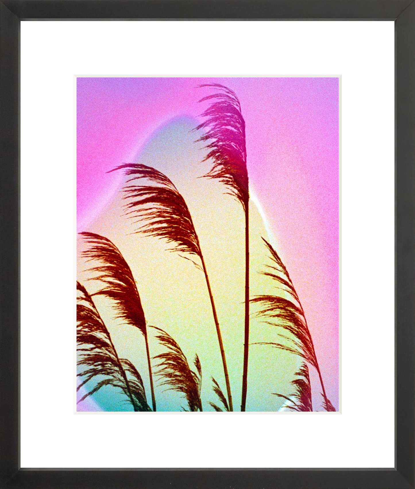 Feather Oats