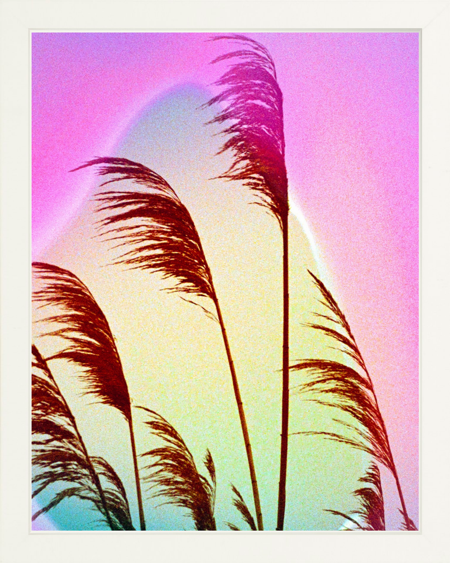 Feather Oats