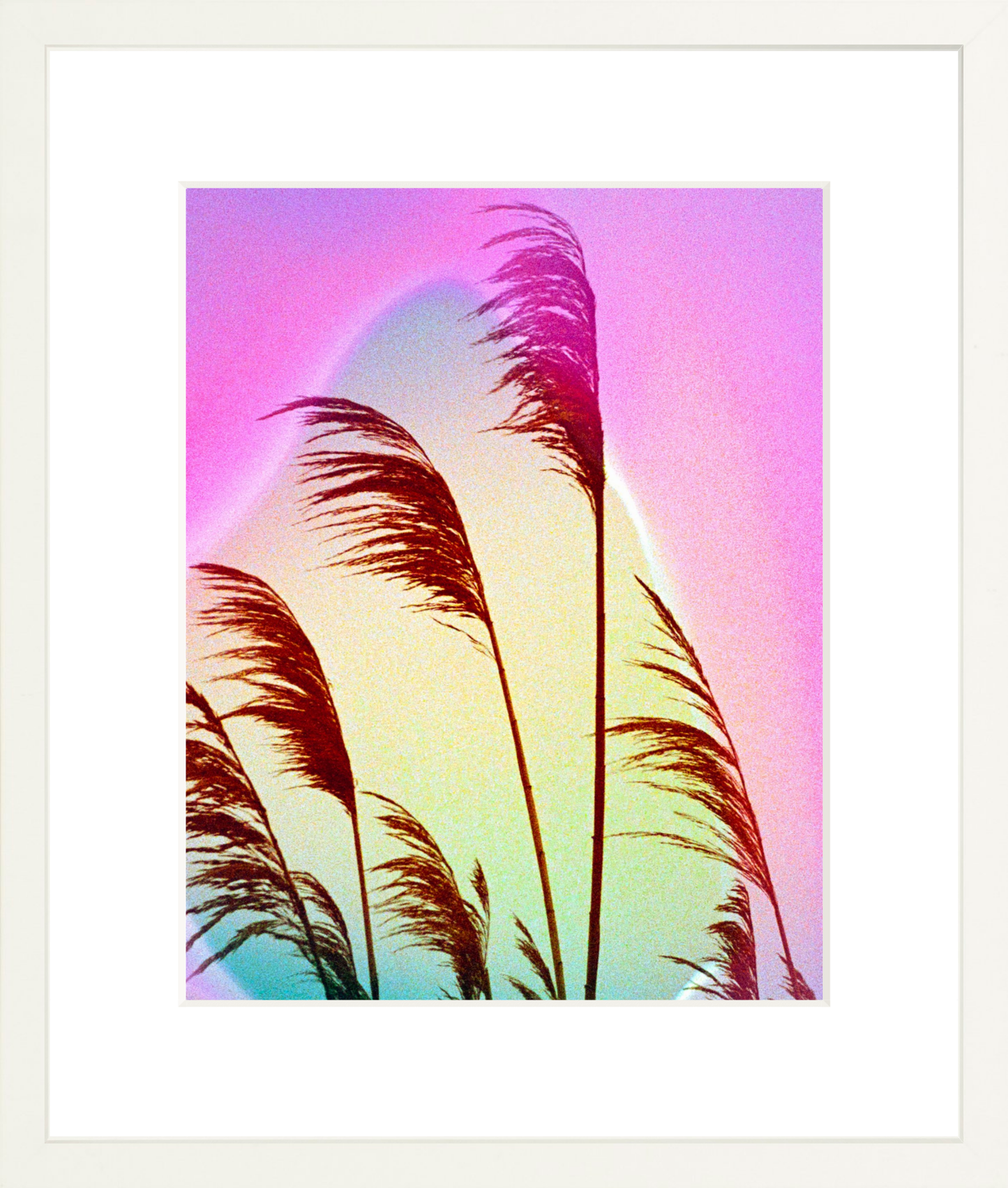 Feather Oats