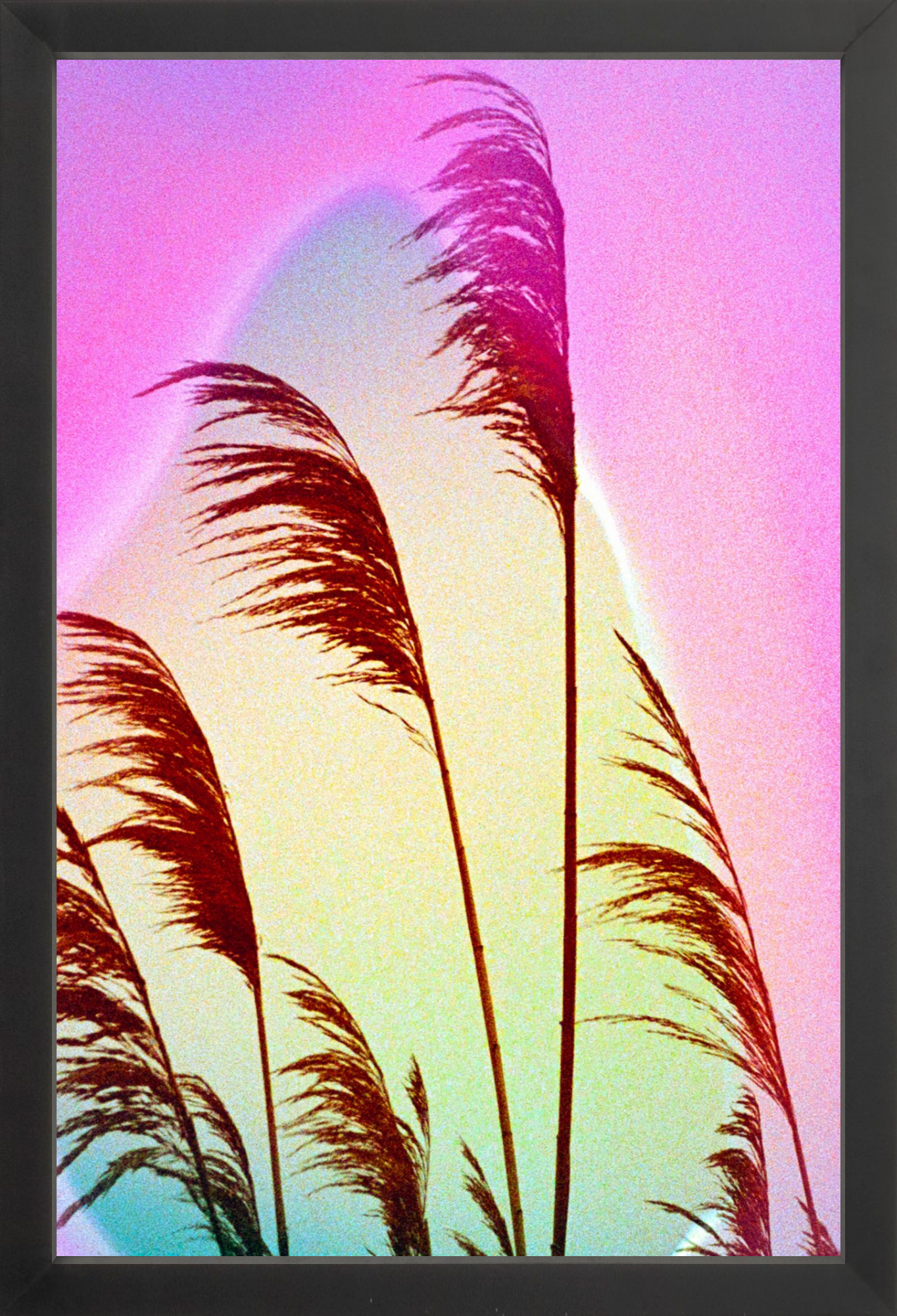 Feather Oats