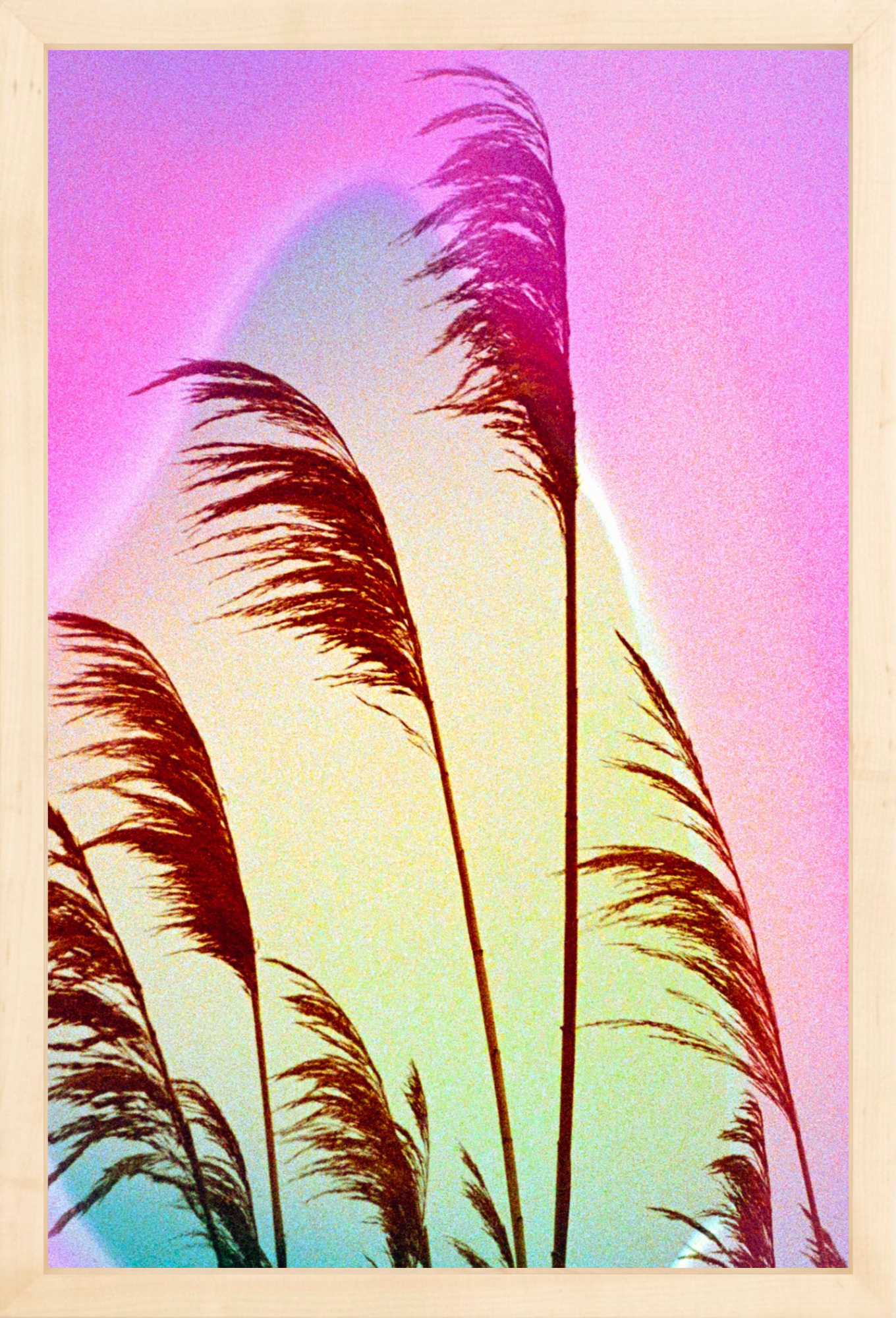 Feather Oats