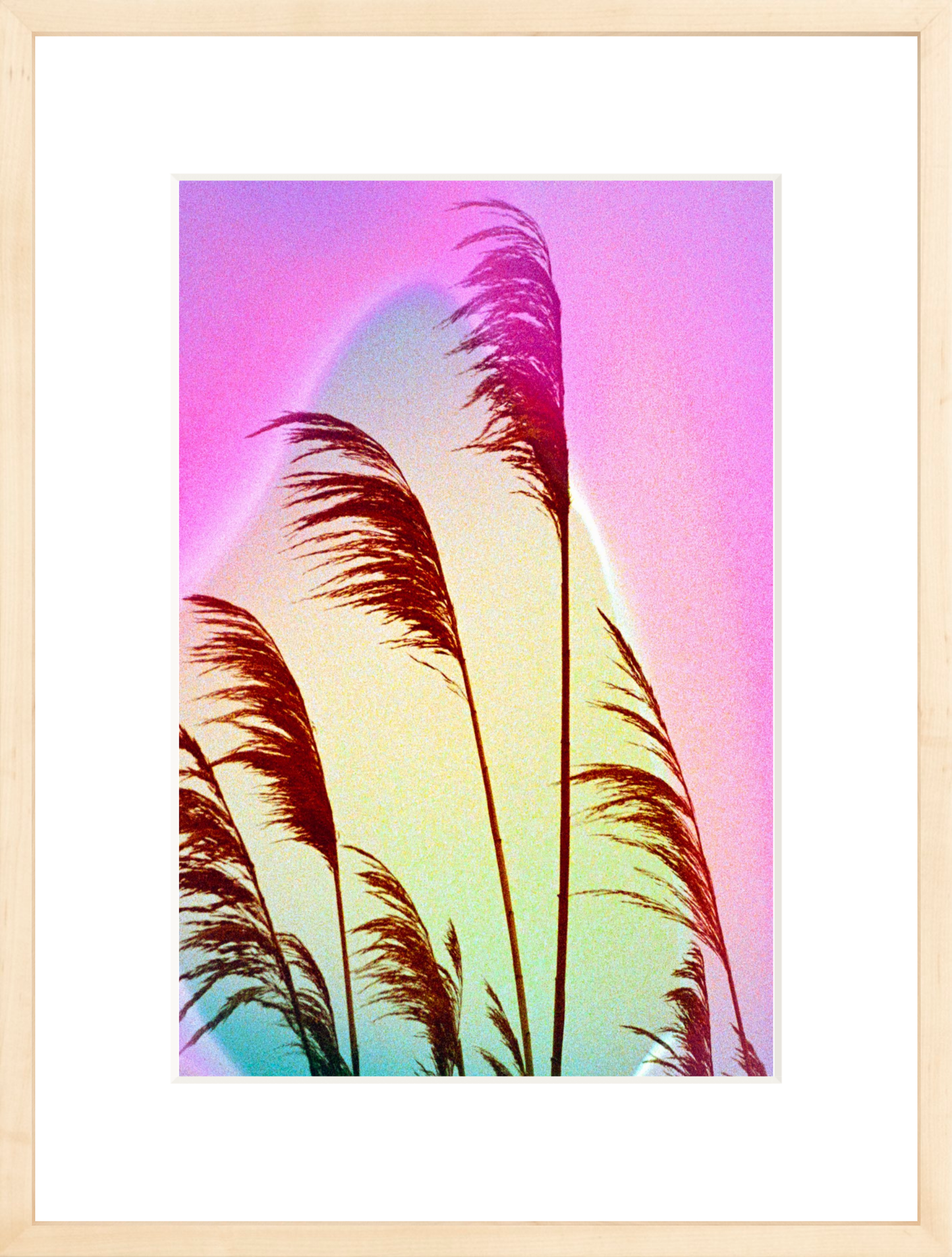 Feather Oats