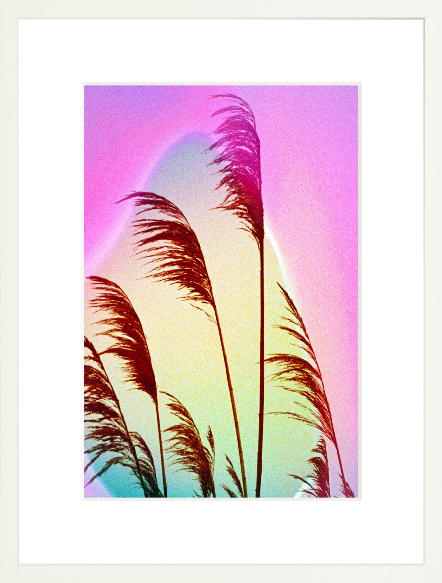 Feather Oats