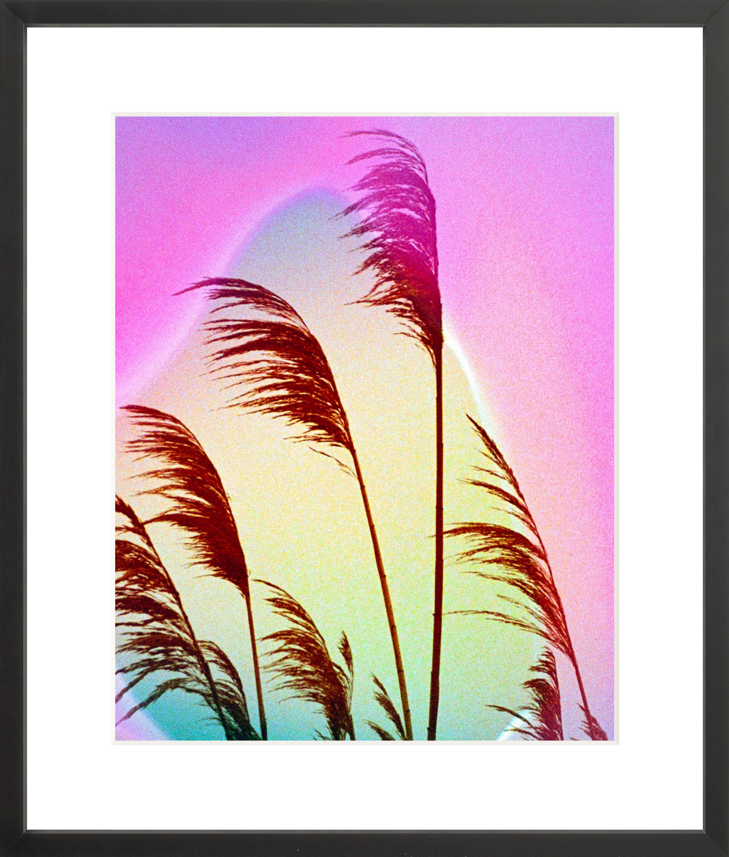 Feather Oats