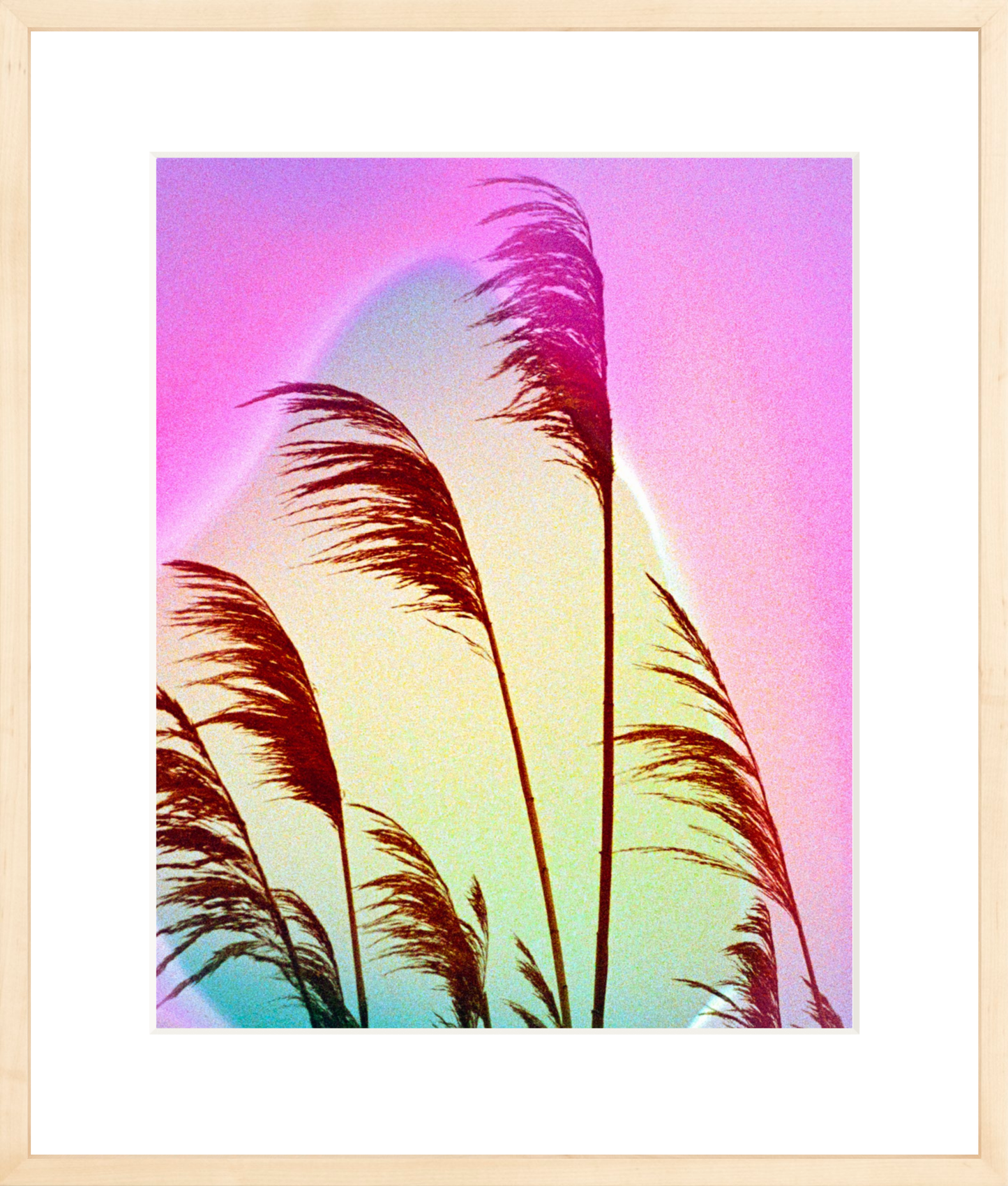 Feather Oats