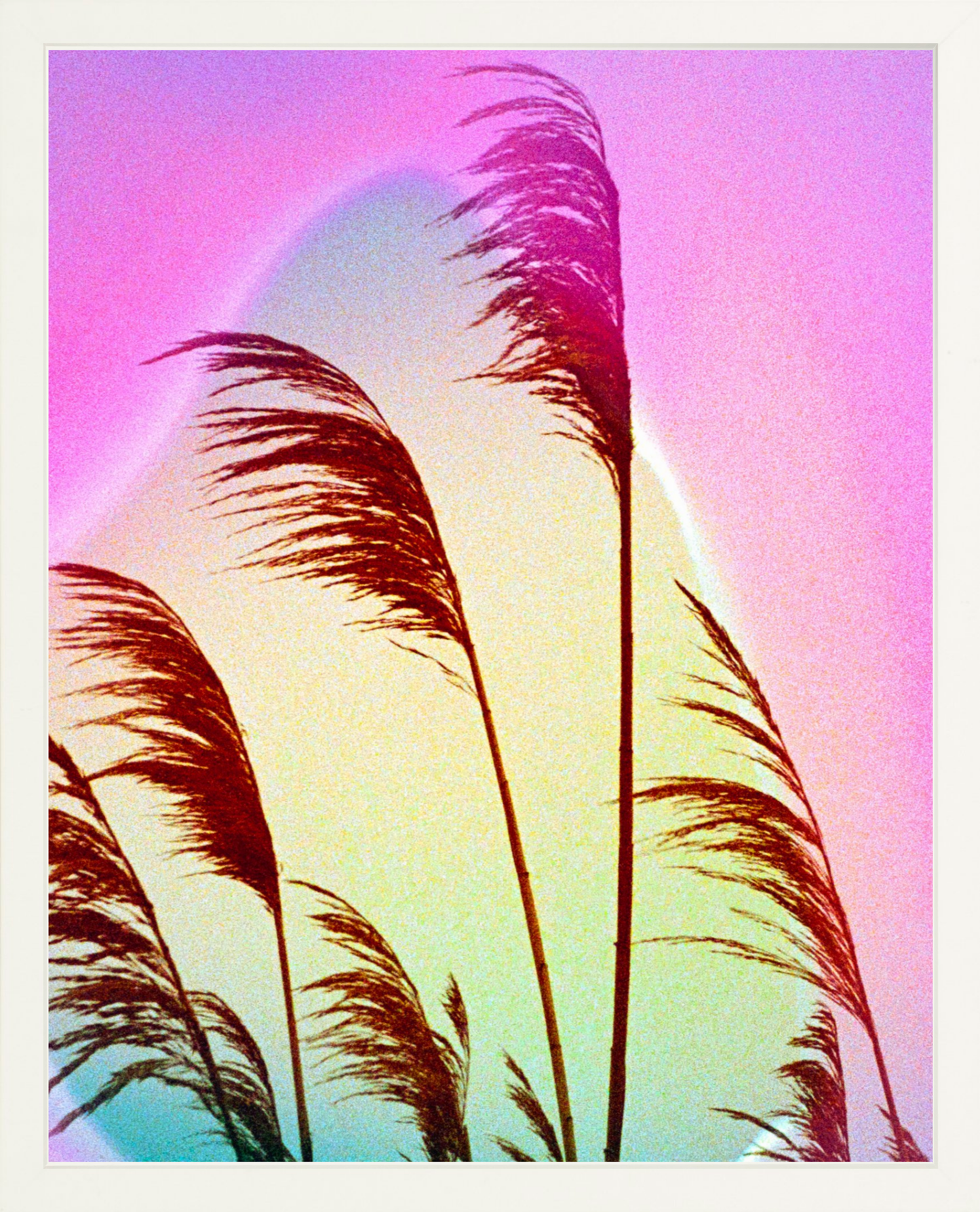 Feather Oats