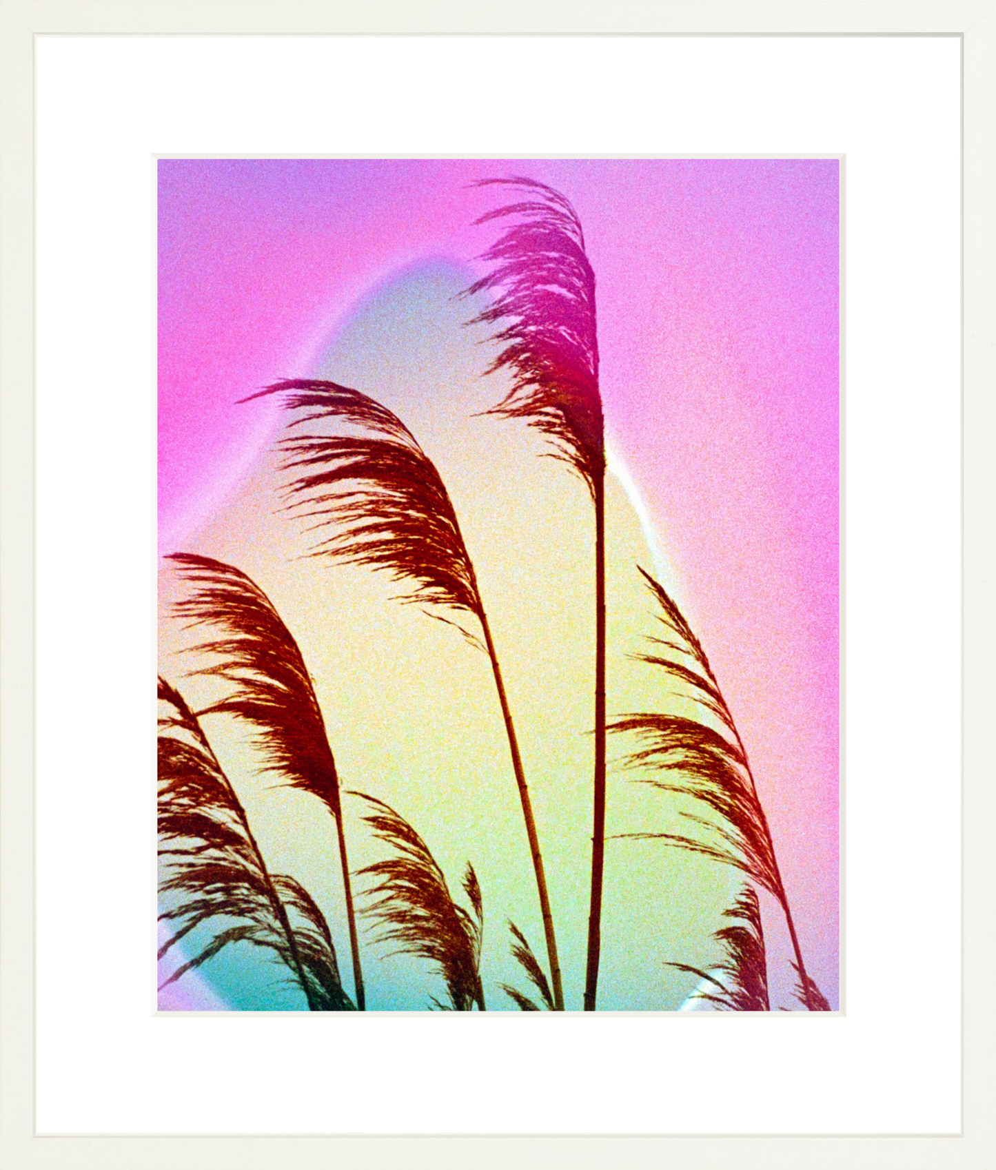 Feather Oats