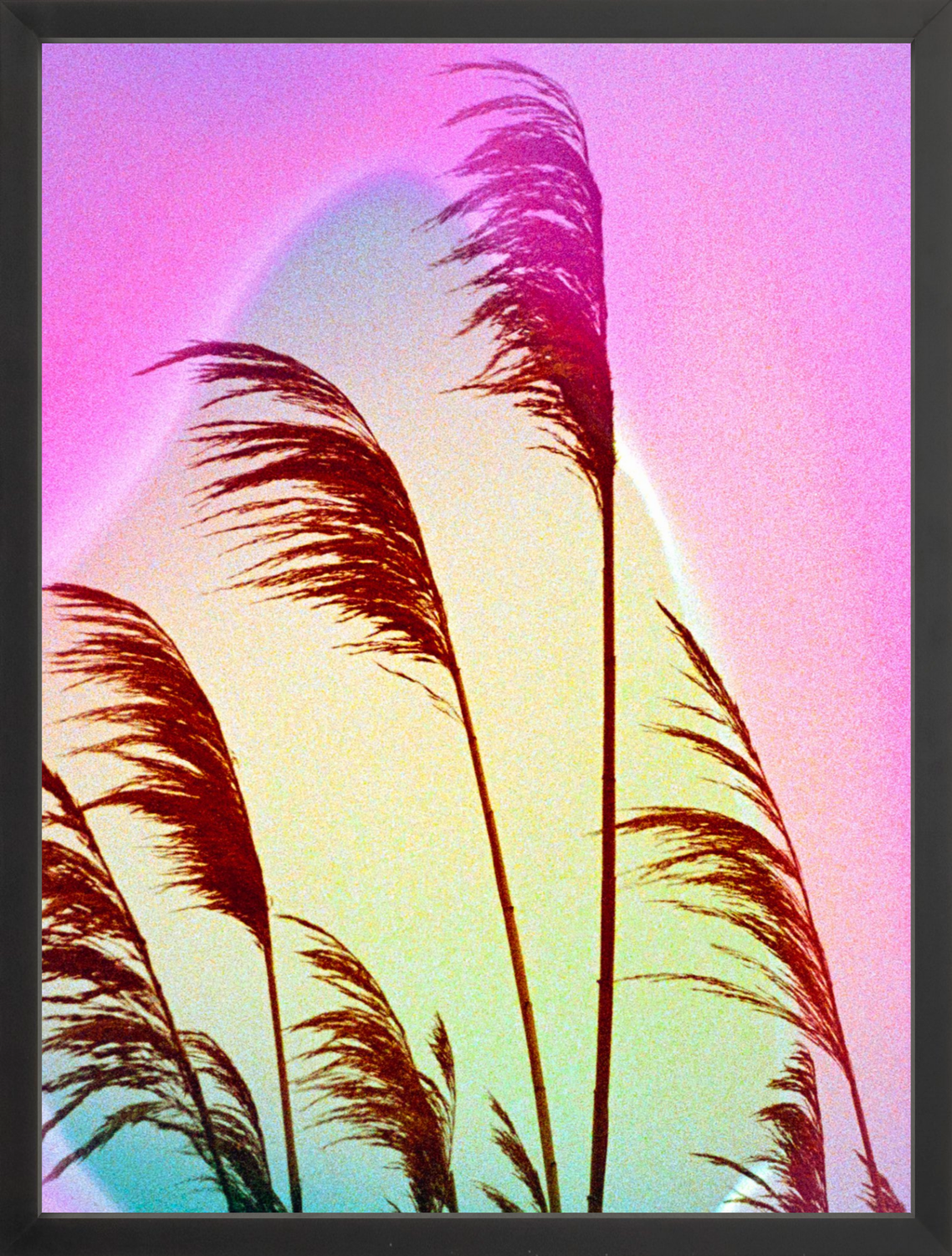 Feather Oats