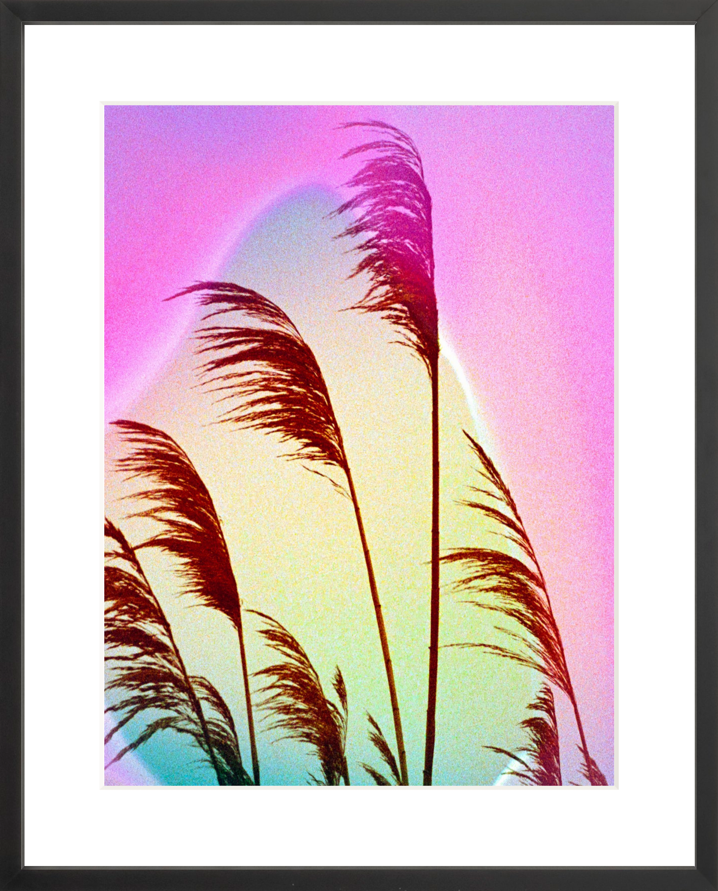 Feather Oats