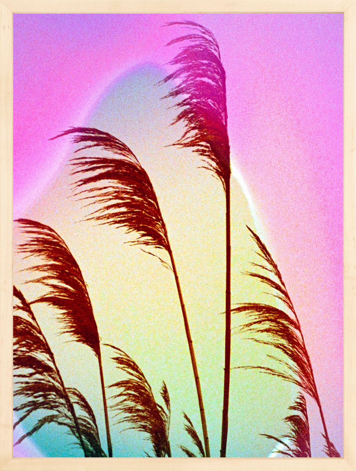 Feather Oats