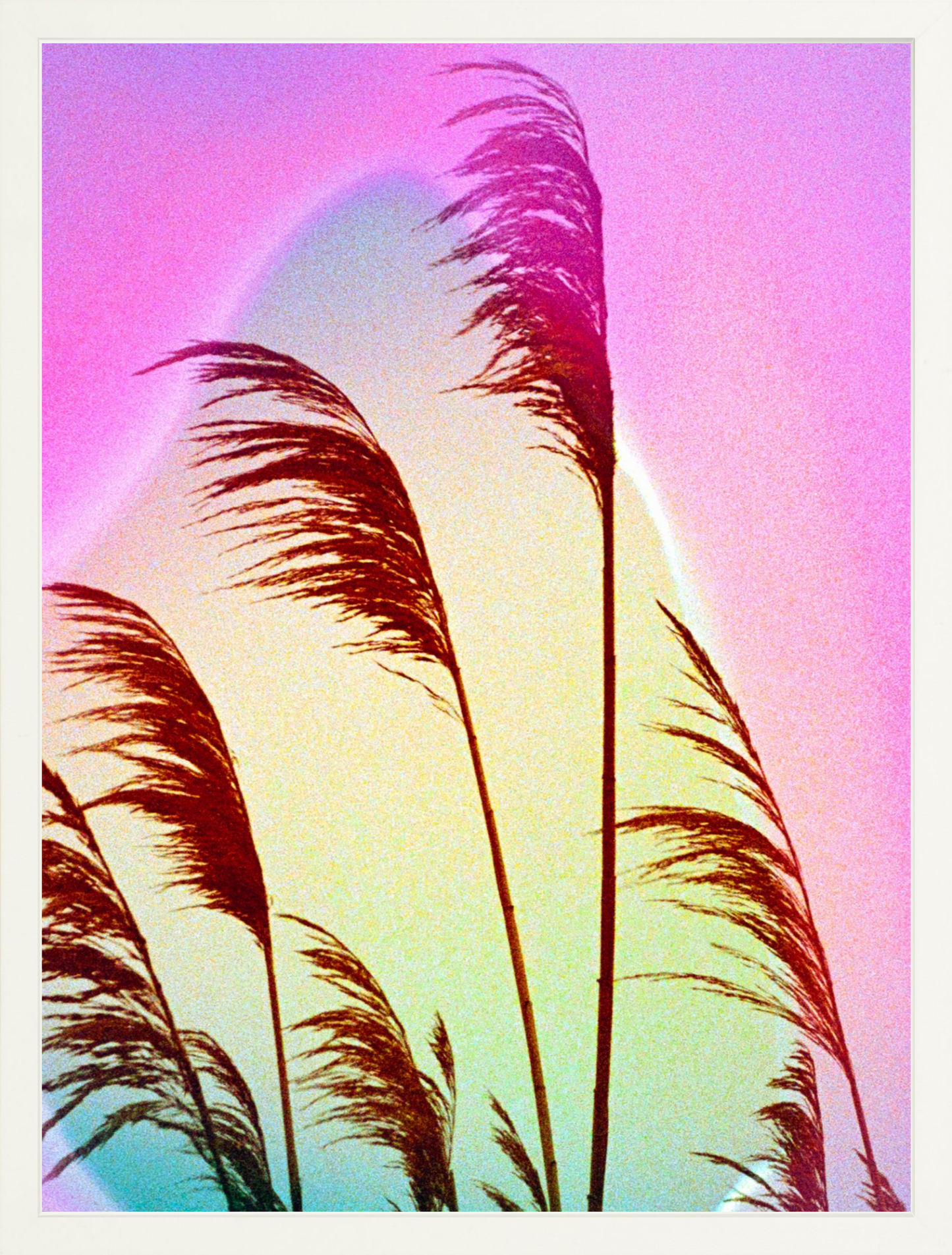 Feather Oats