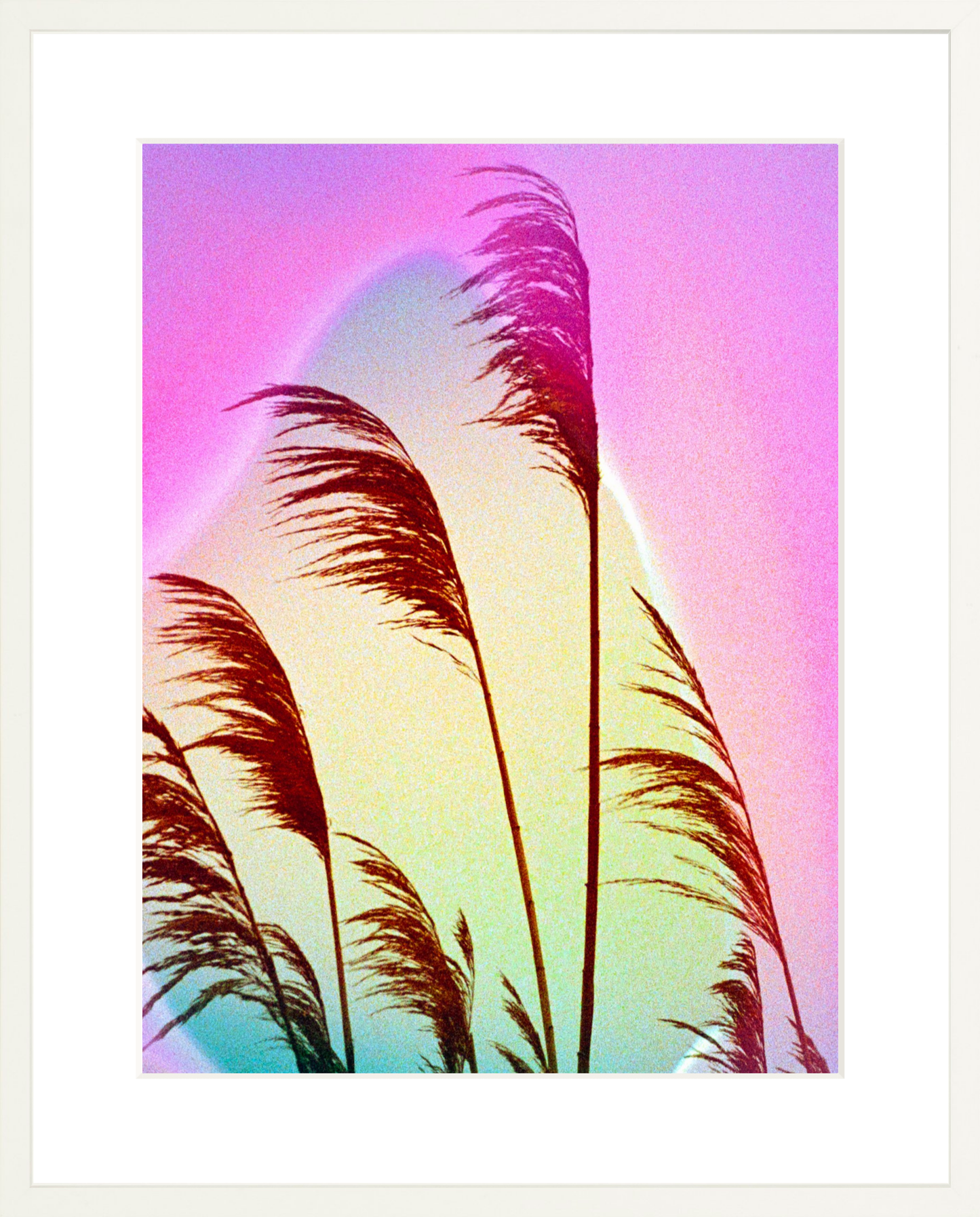 Feather Oats