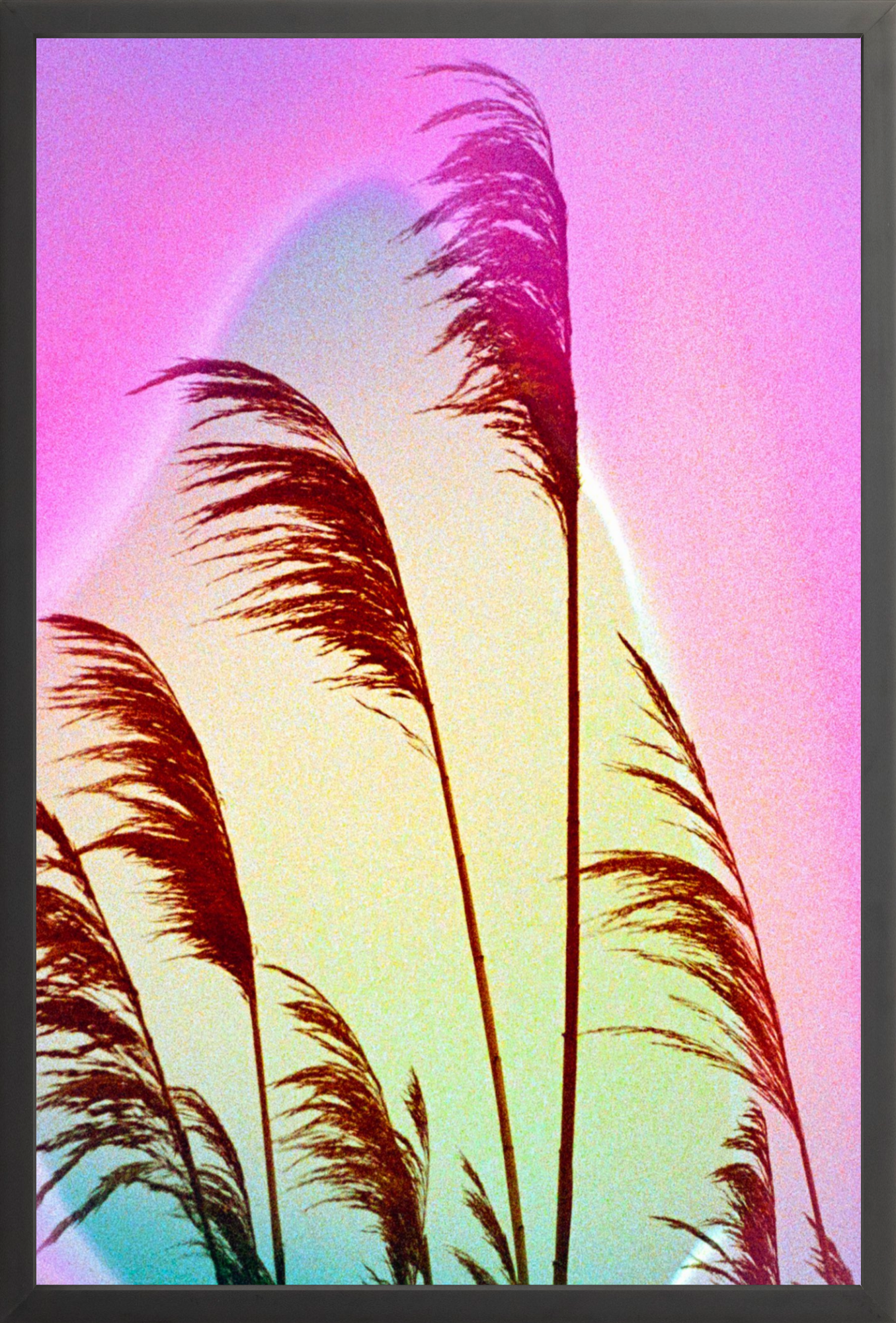 Feather Oats