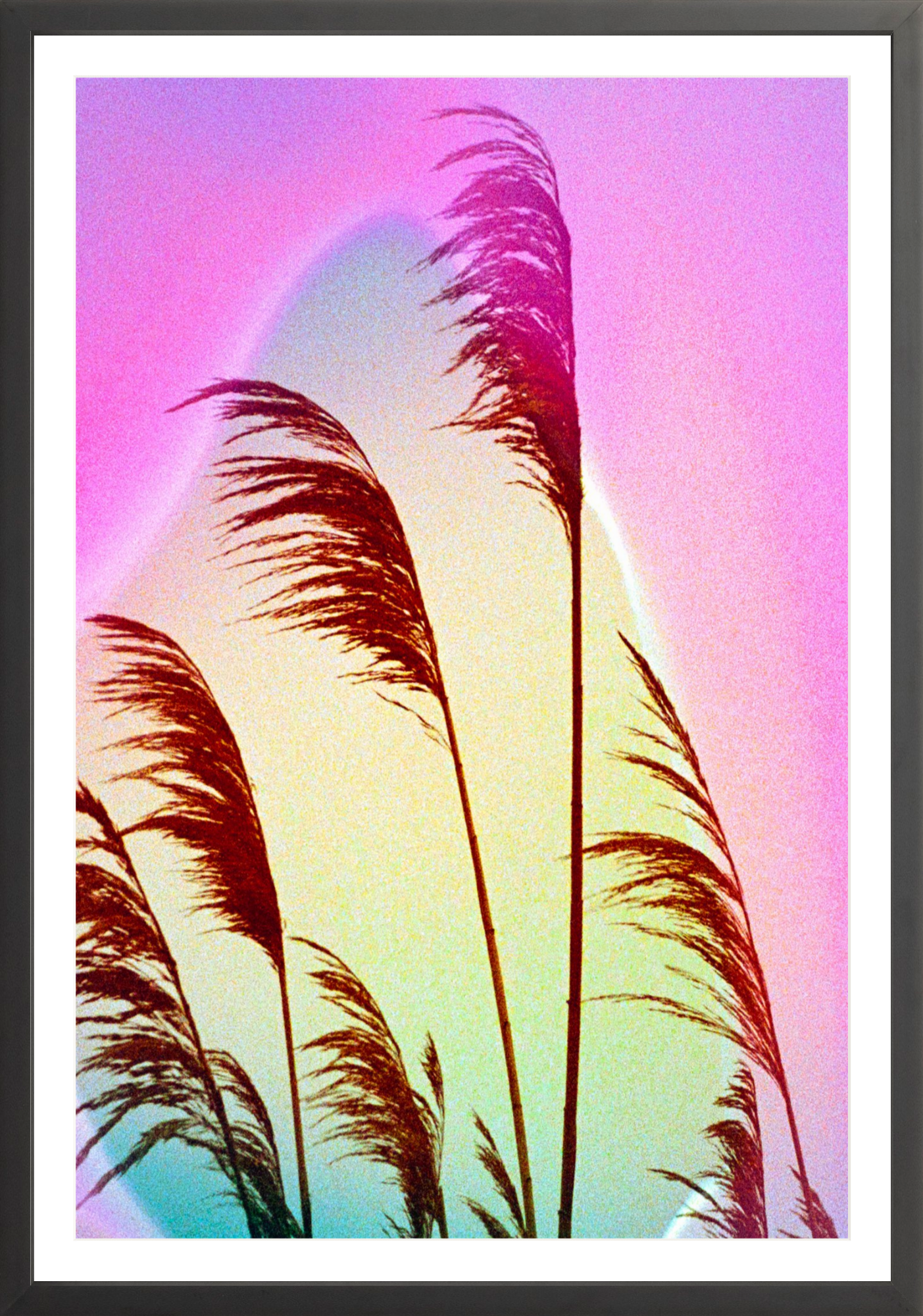Feather Oats