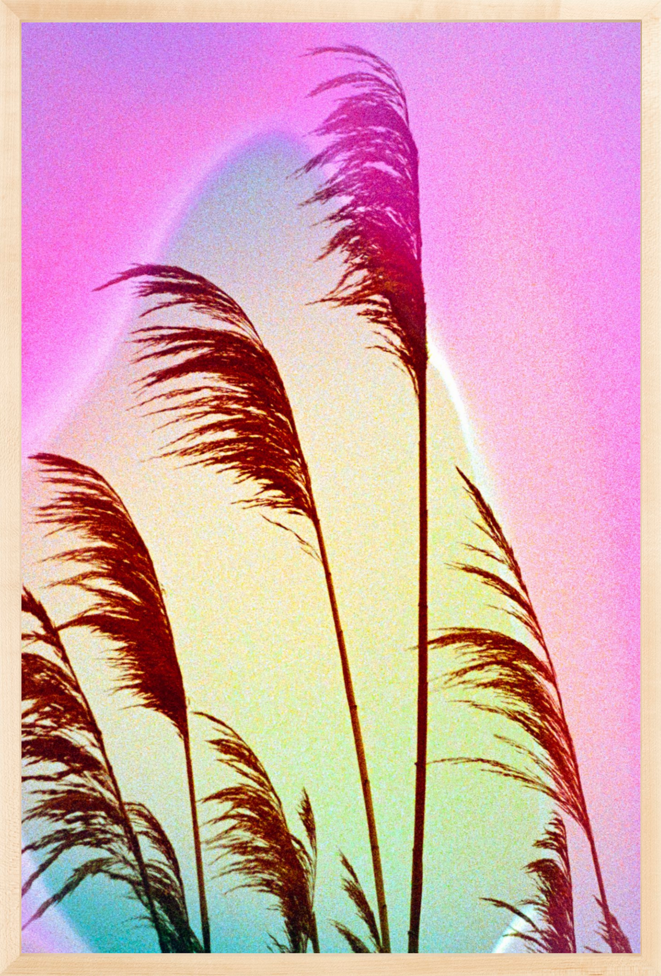 Feather Oats