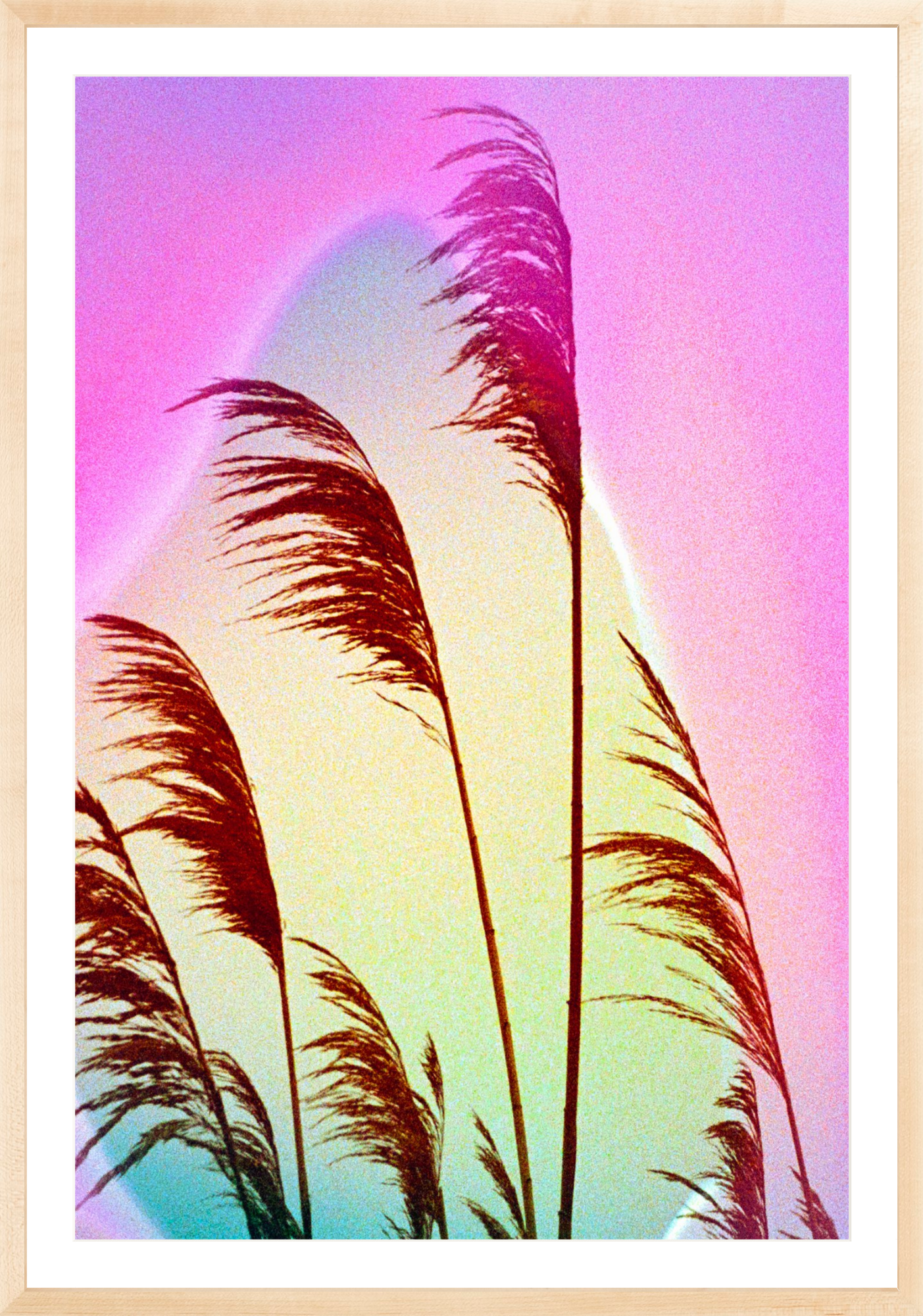 Feather Oats