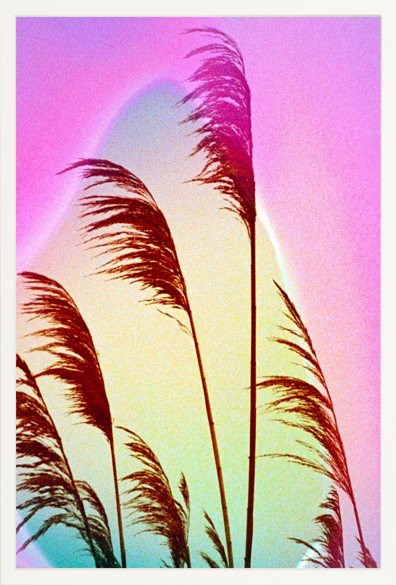 Feather Oats
