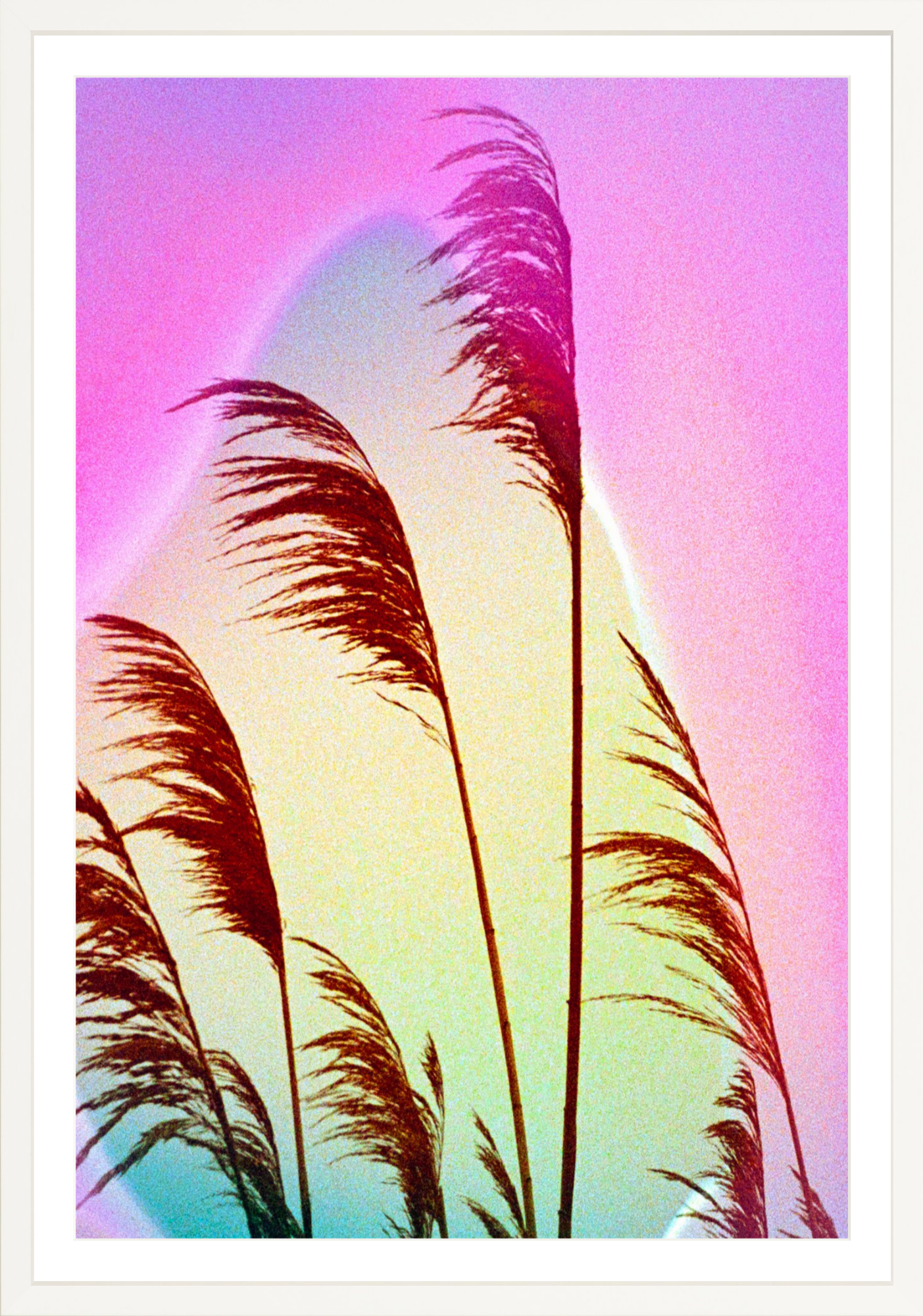 Feather Oats