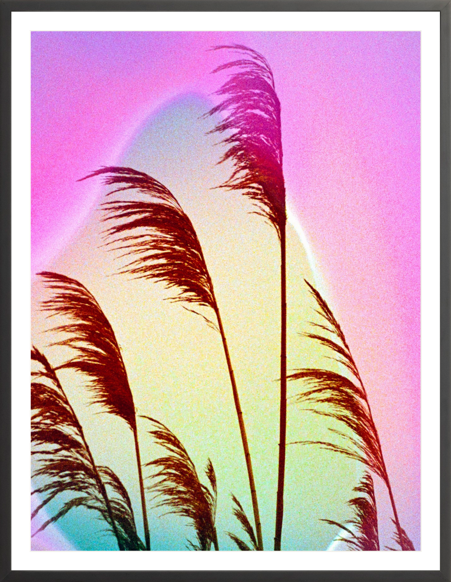 Feather Oats