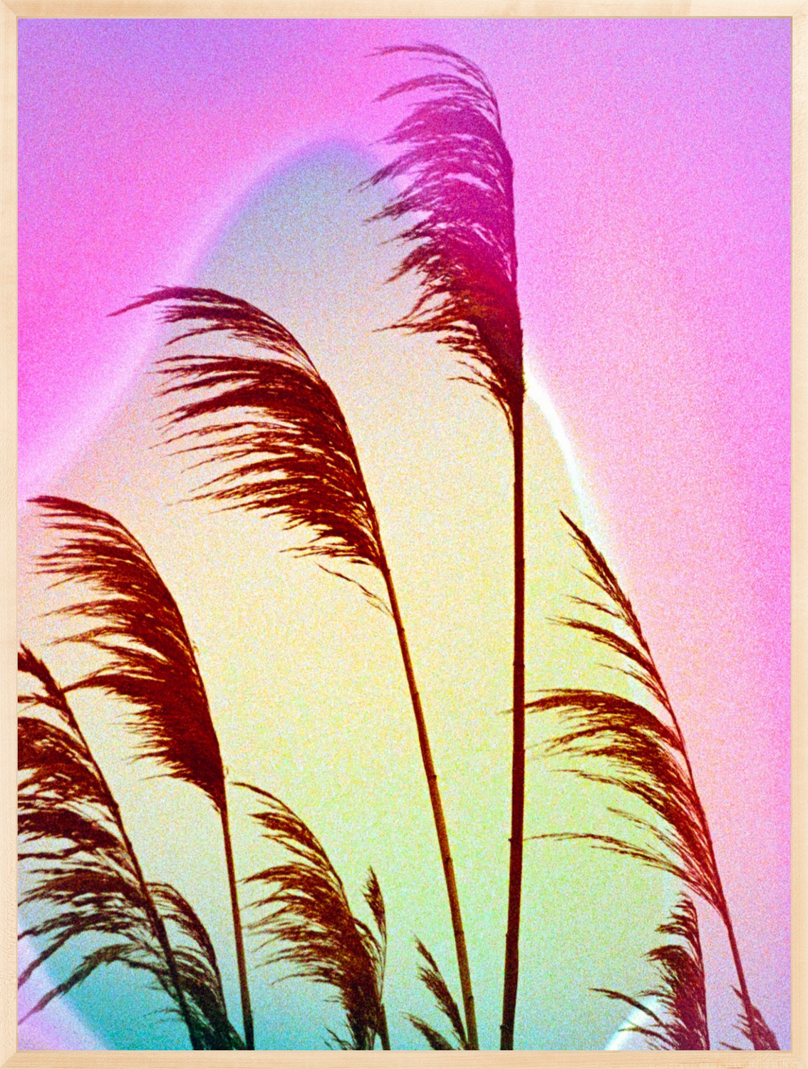 Feather Oats