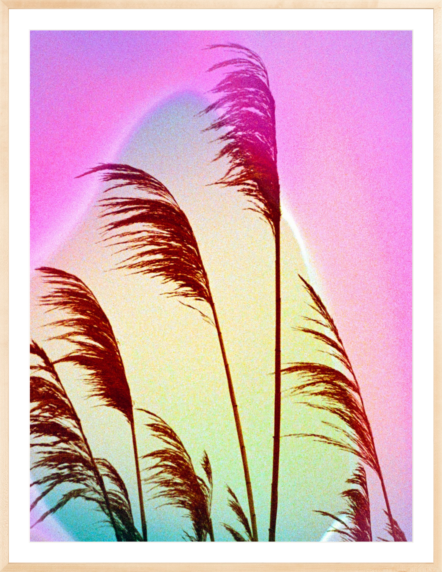 Feather Oats