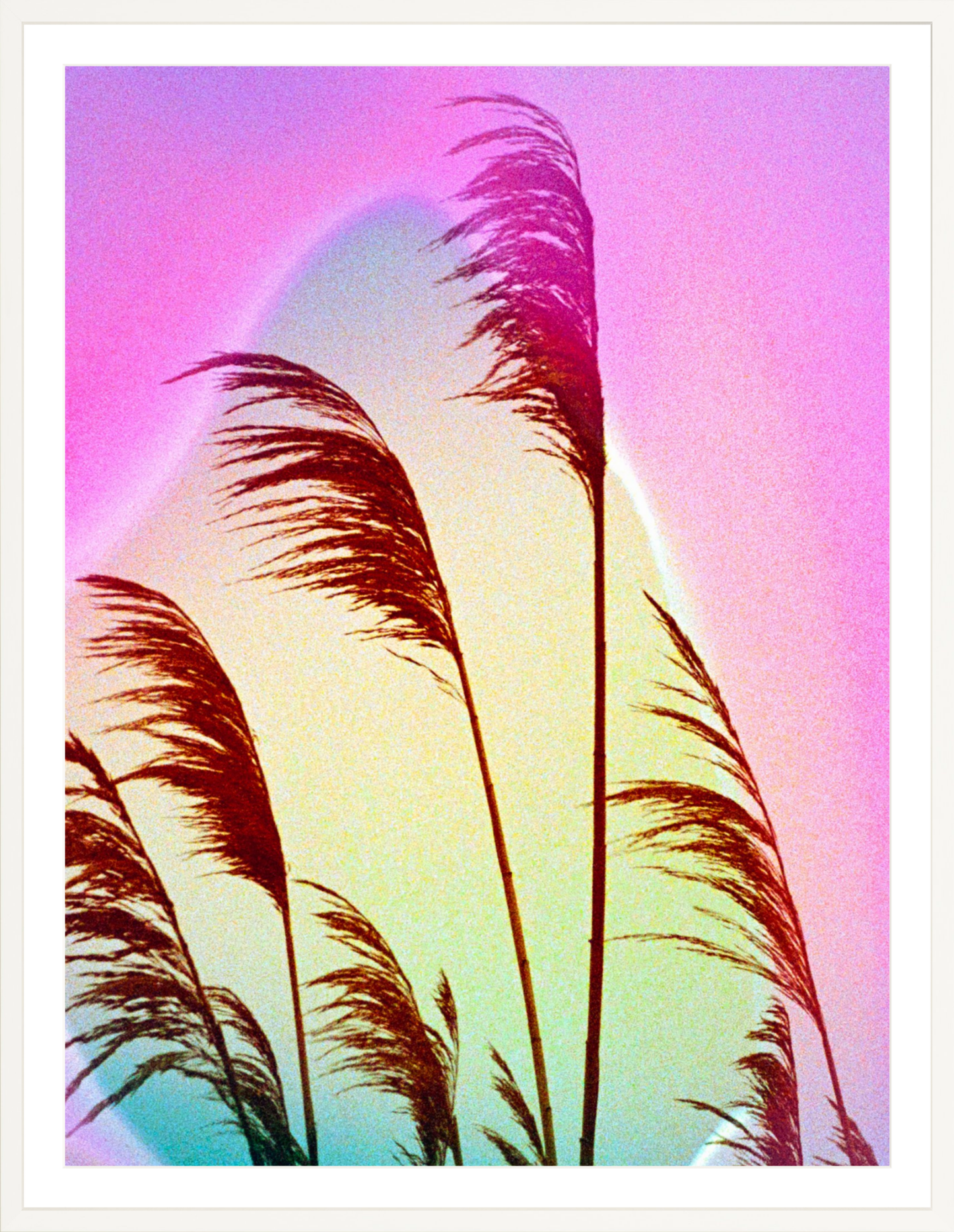 Feather Oats