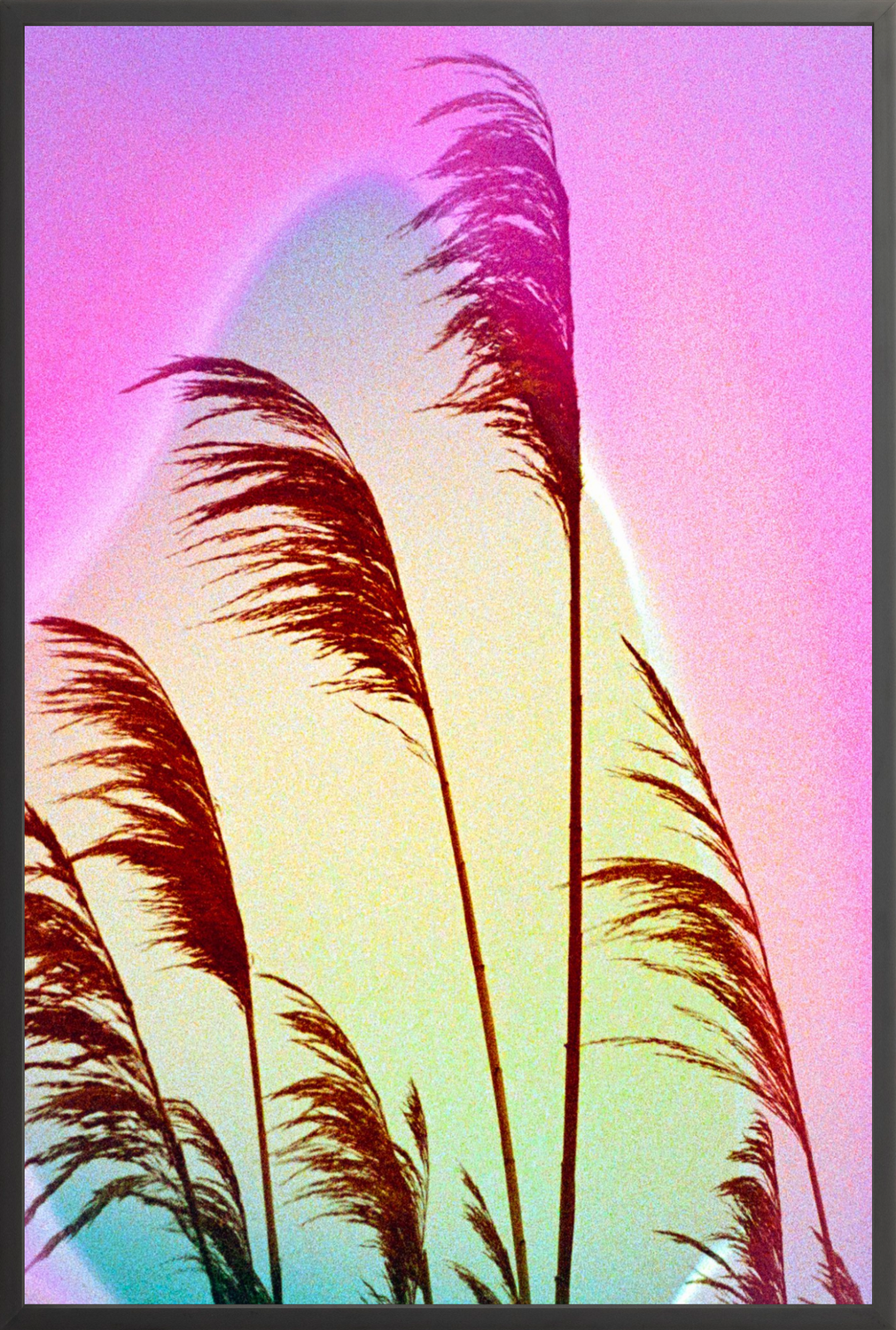 Feather Oats