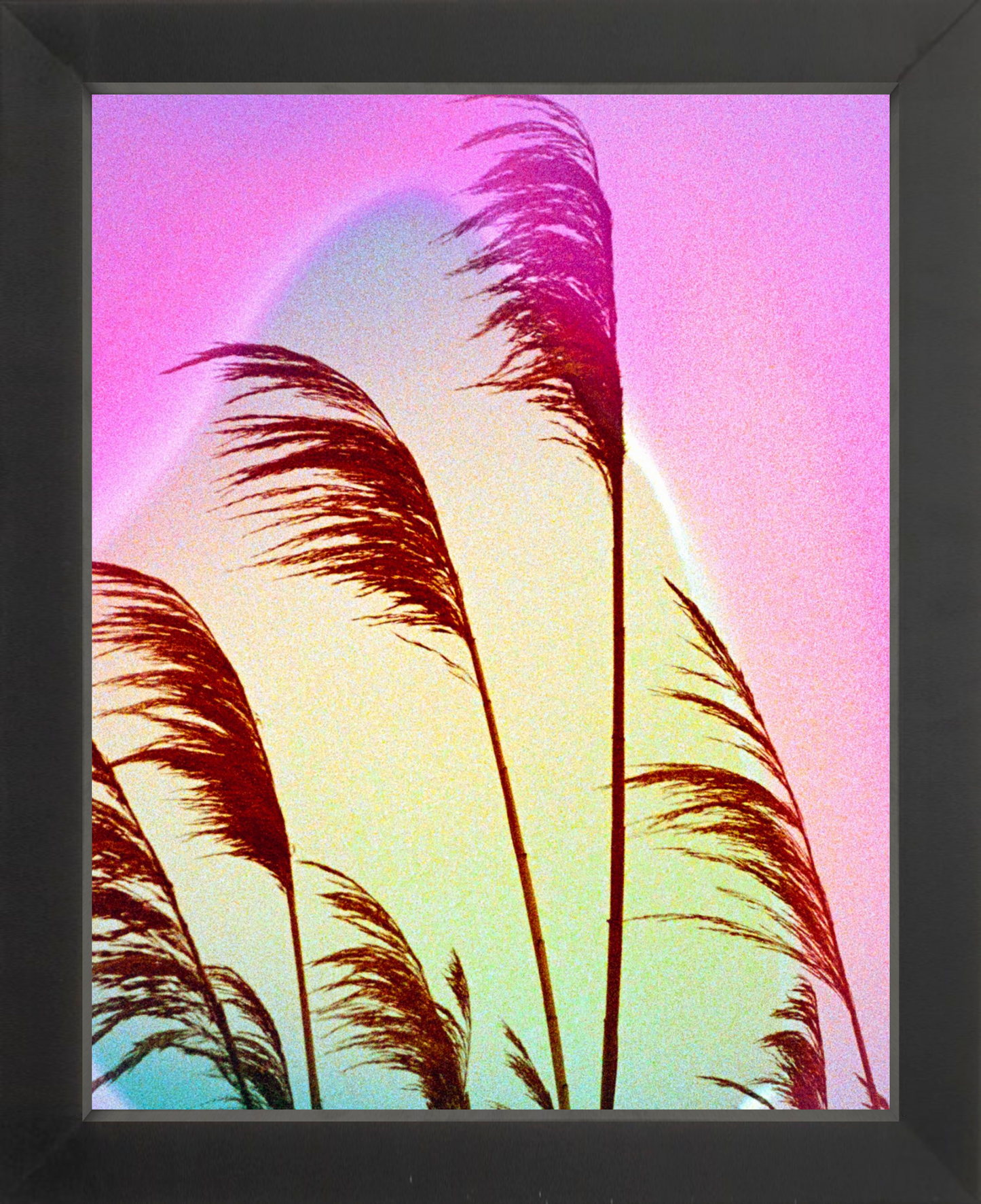Feather Oats