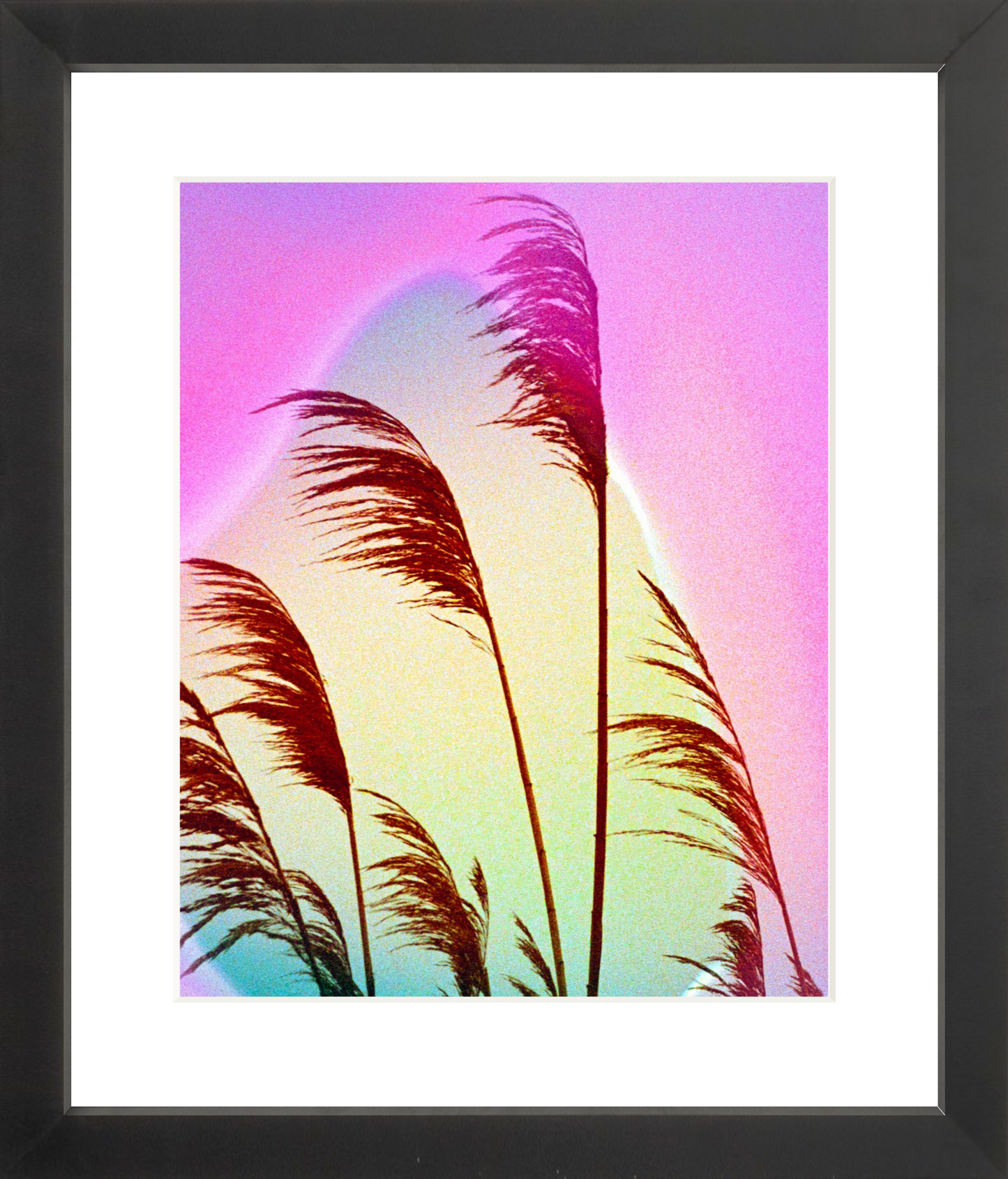 Feather Oats