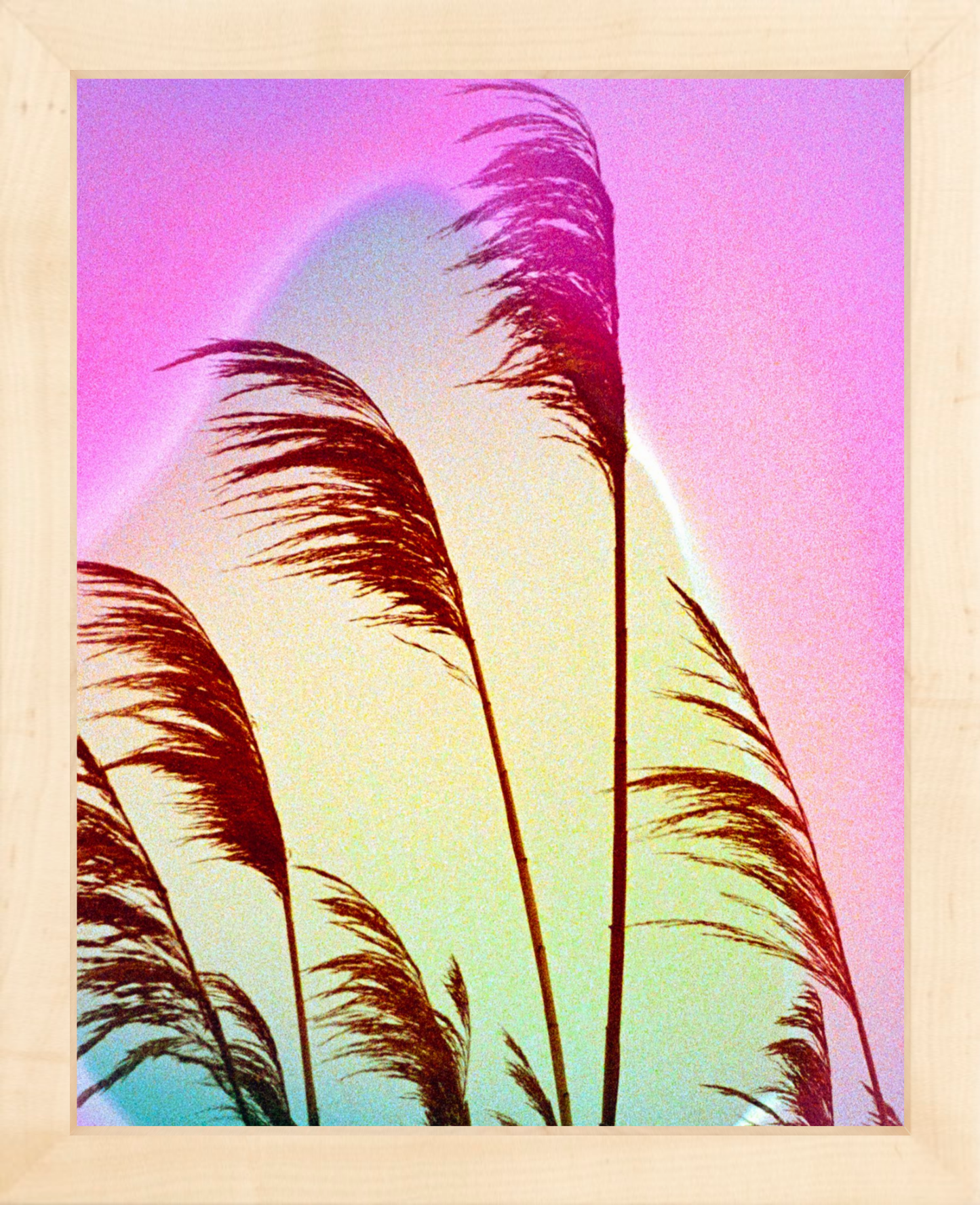 Feather Oats