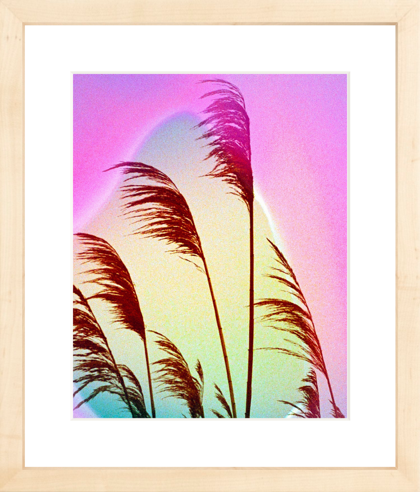 Feather Oats