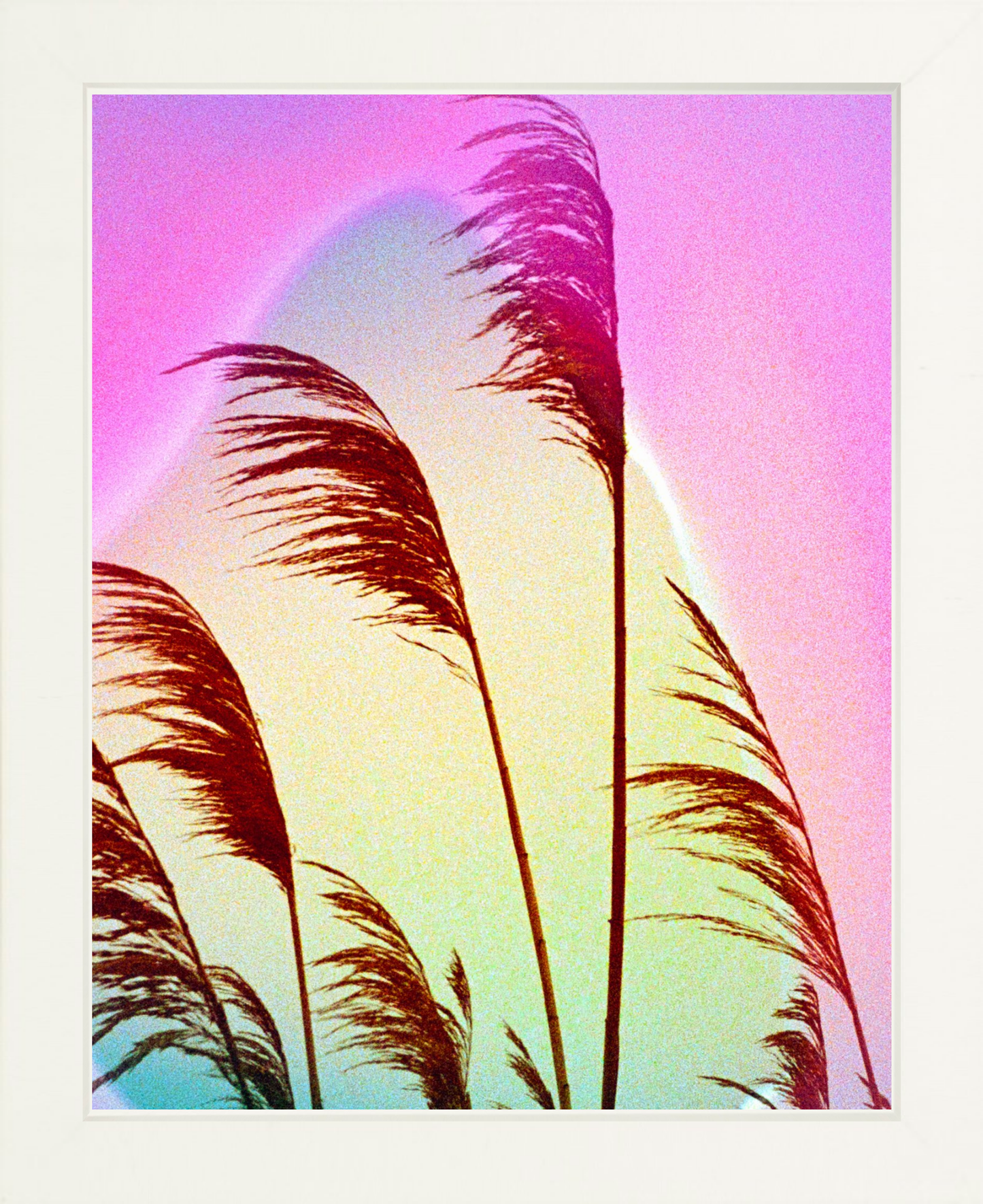 Feather Oats
