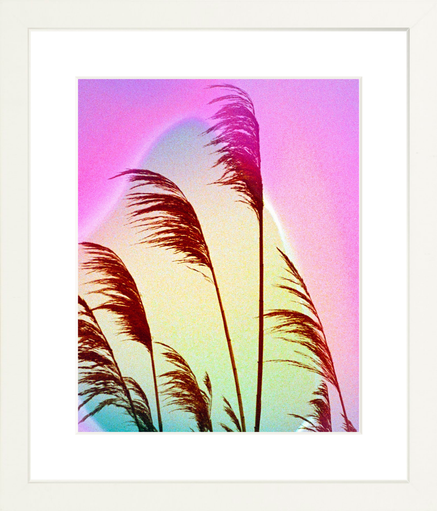 Feather Oats