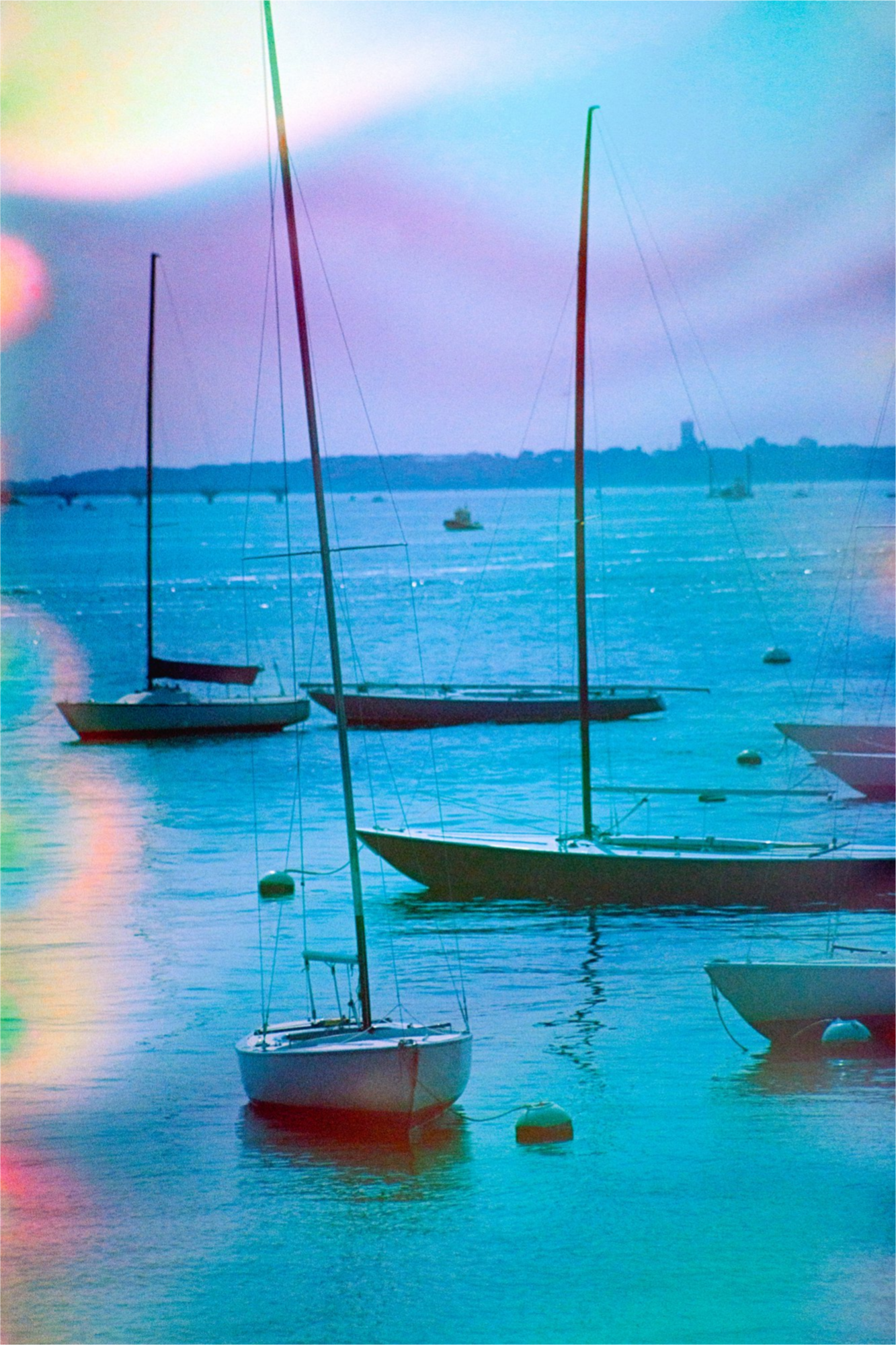 Harbor Blues