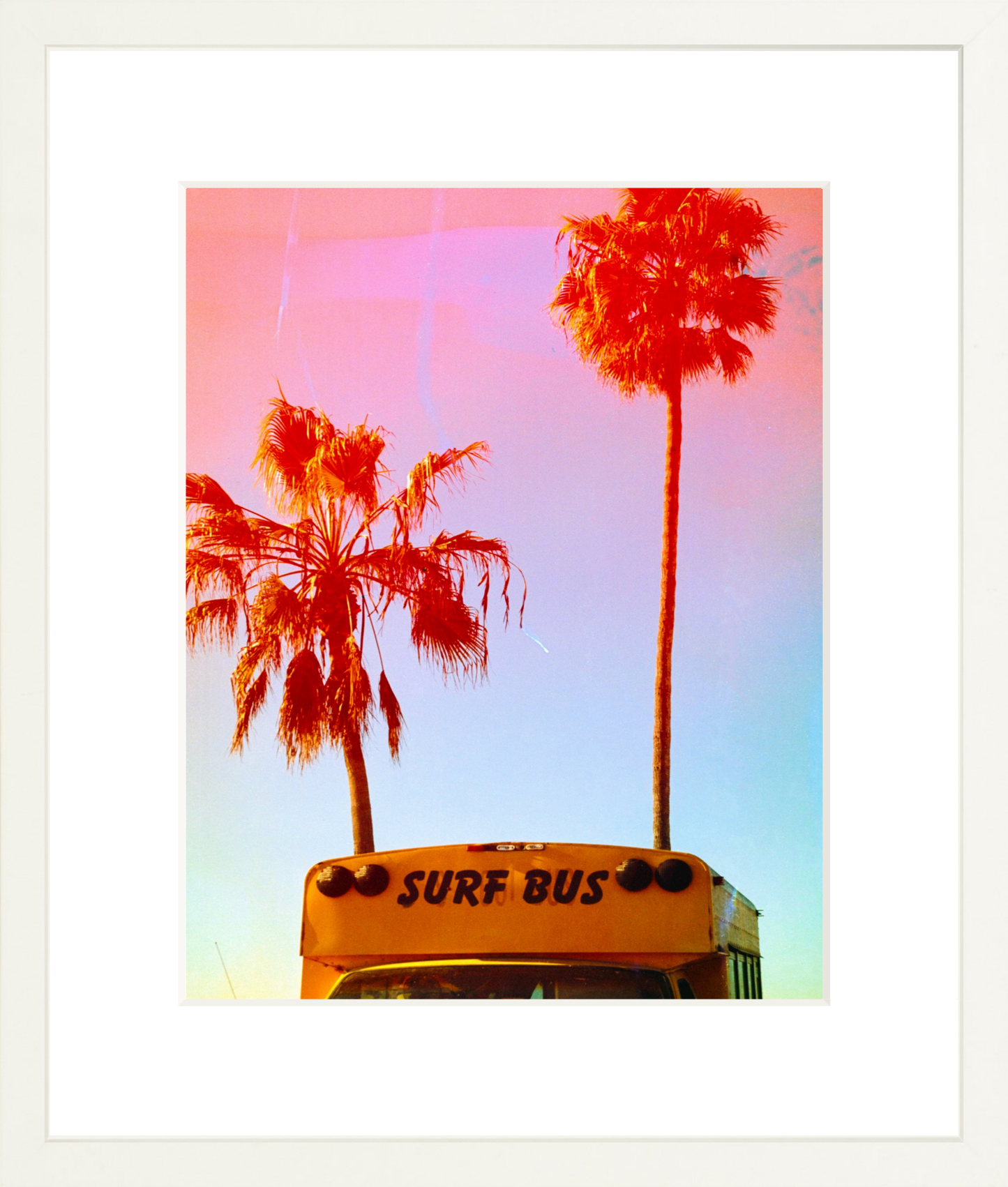 Surf Bus