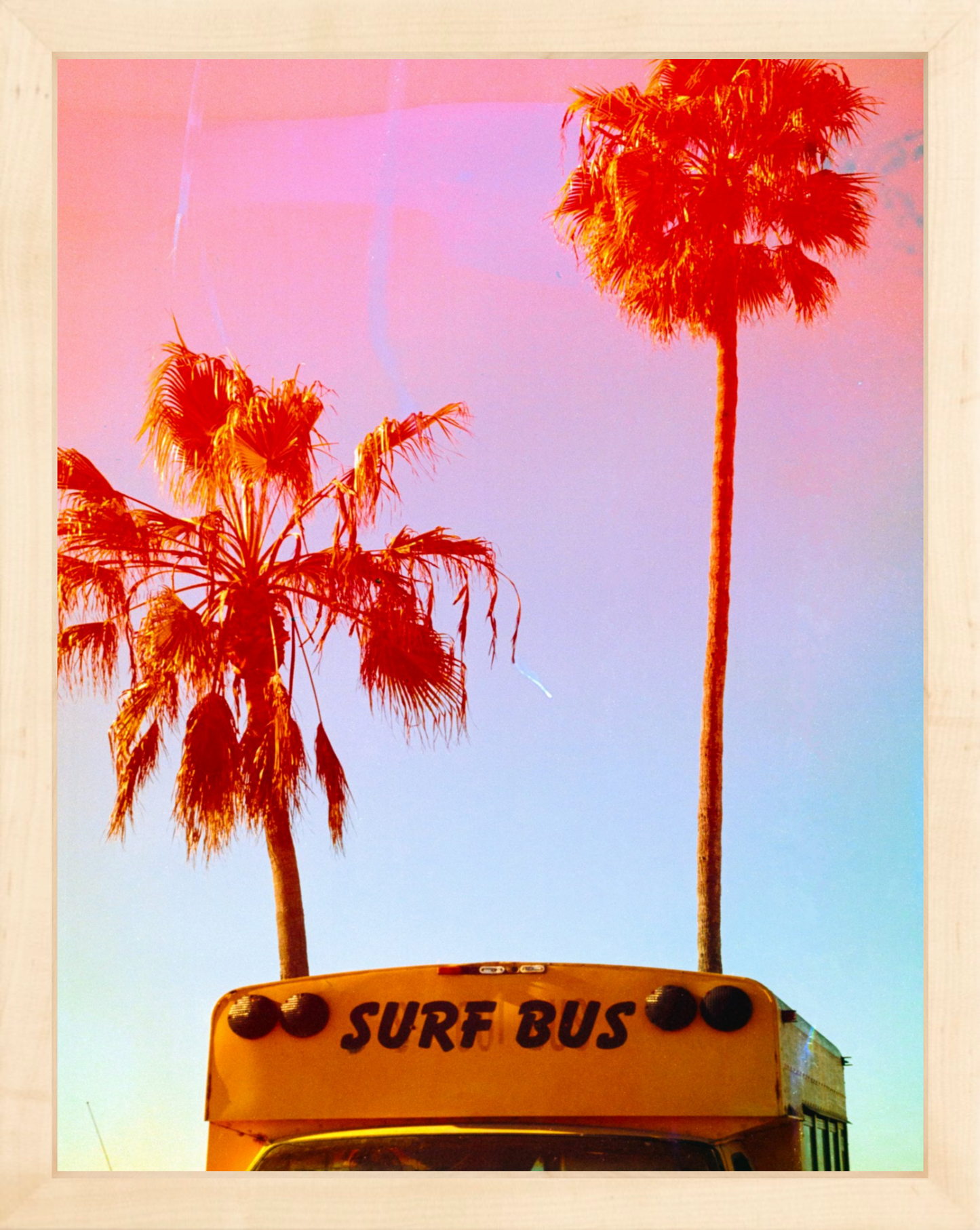 Surf Bus