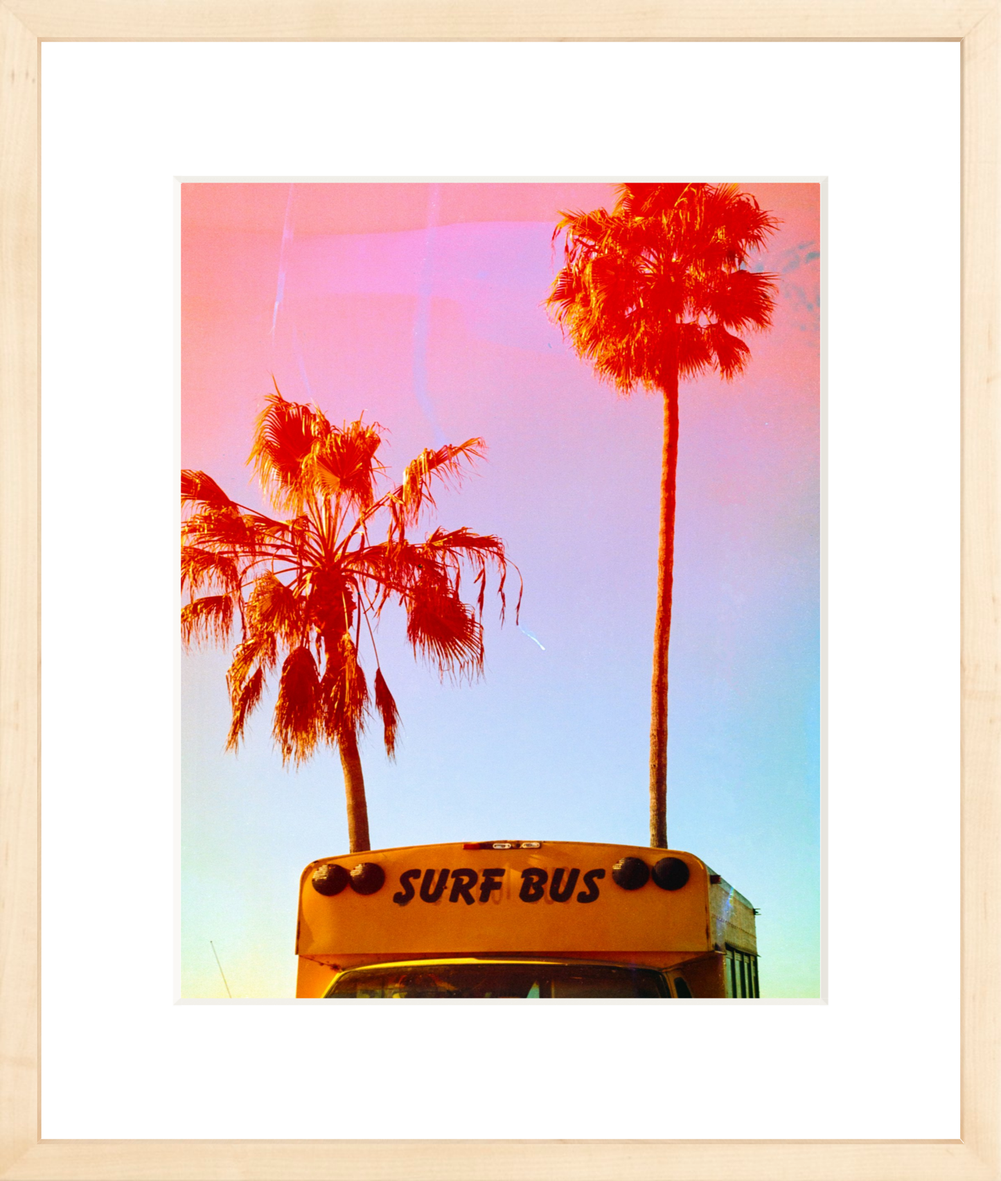 Surf Bus