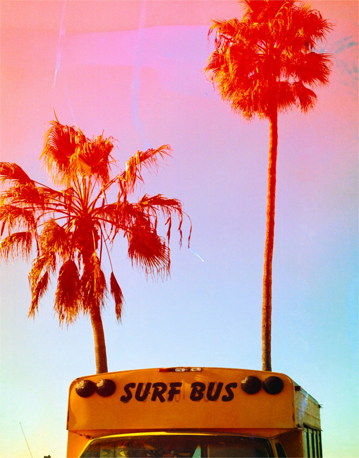 Surf Bus