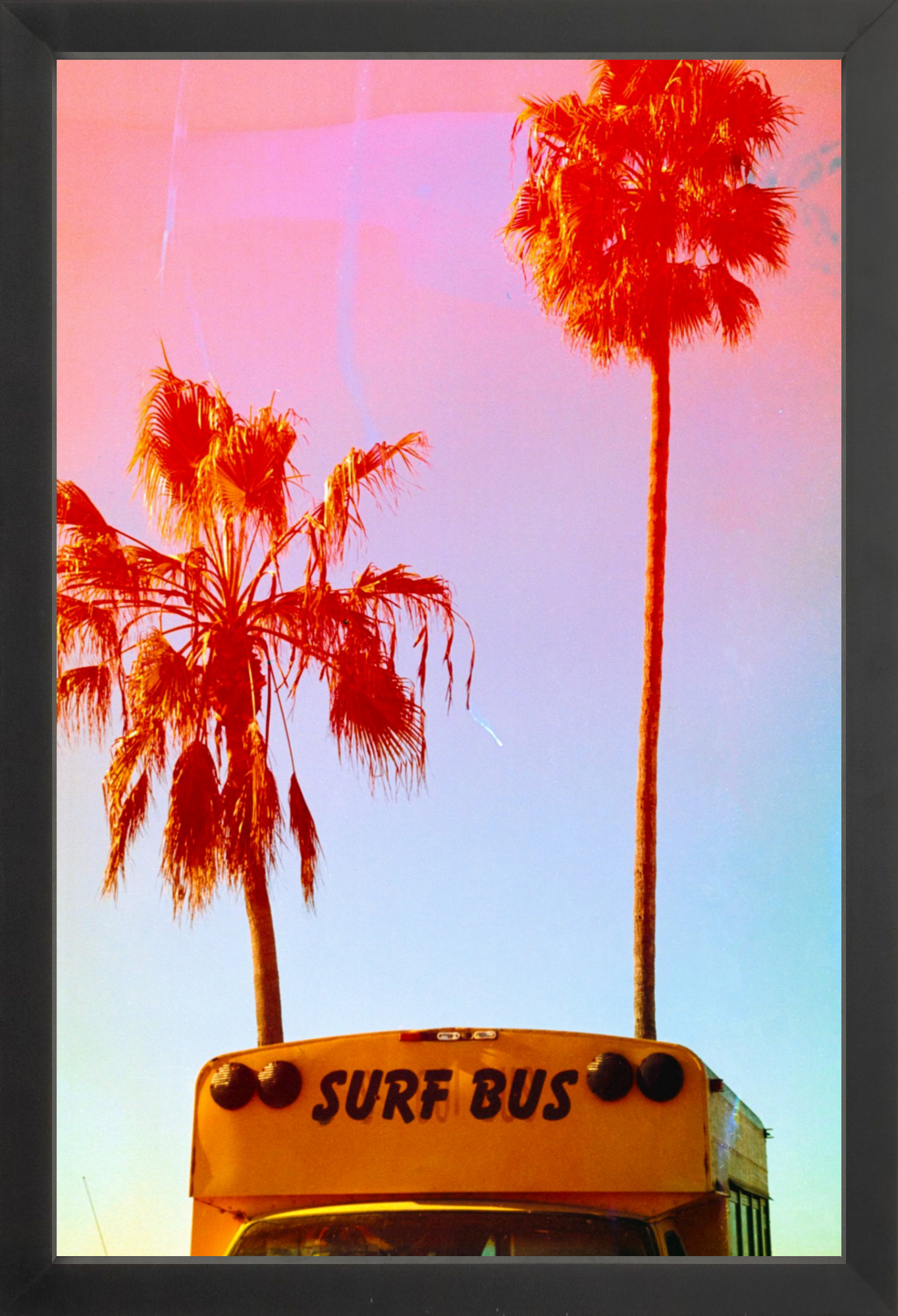 Surf Bus
