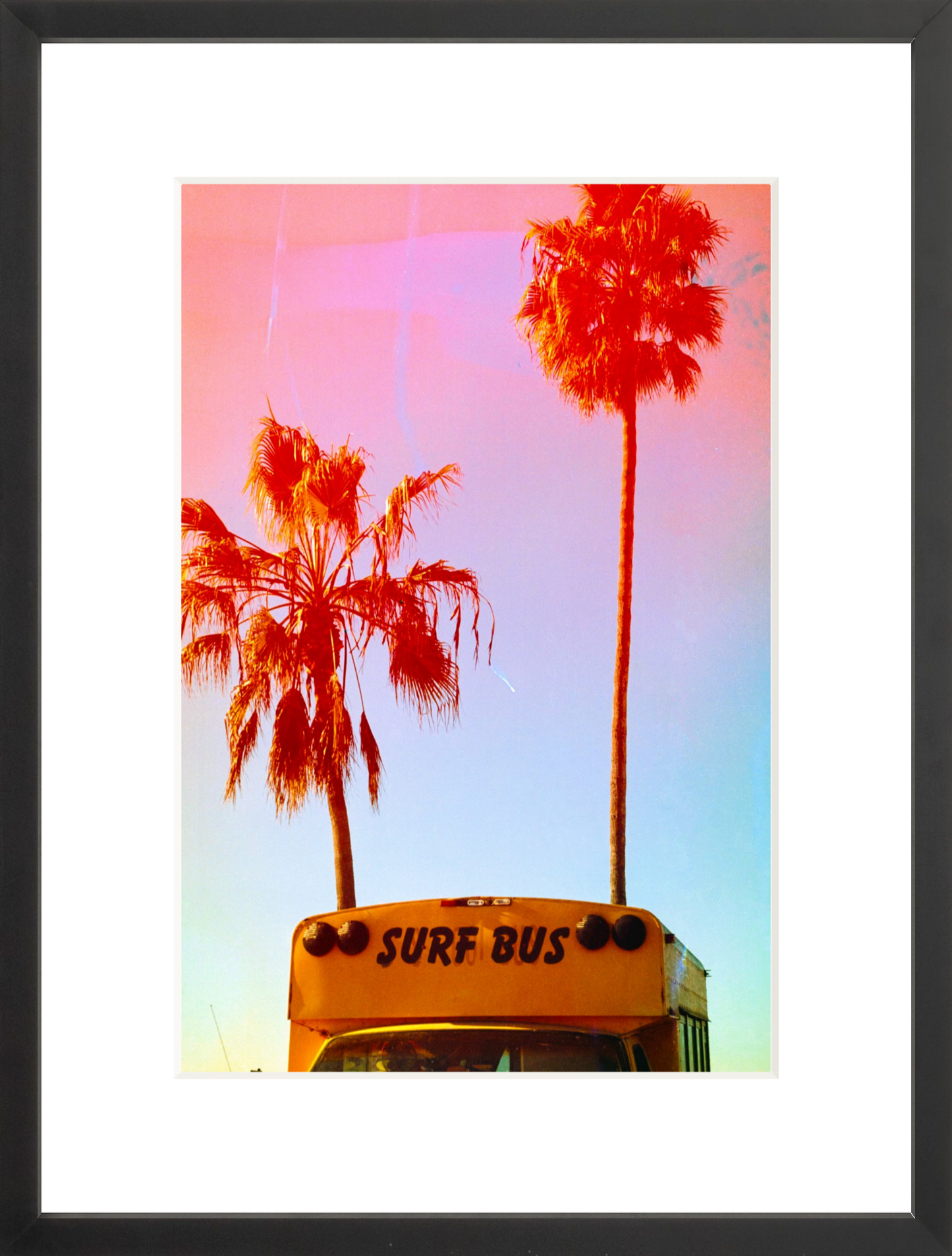 Surf Bus
