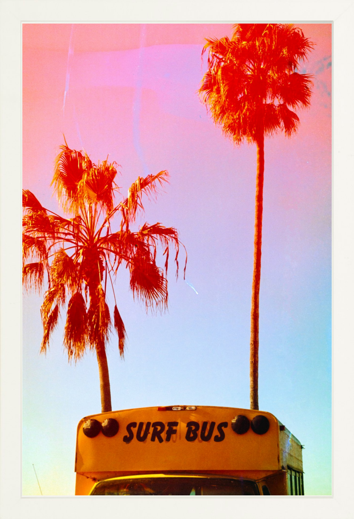 Surf Bus