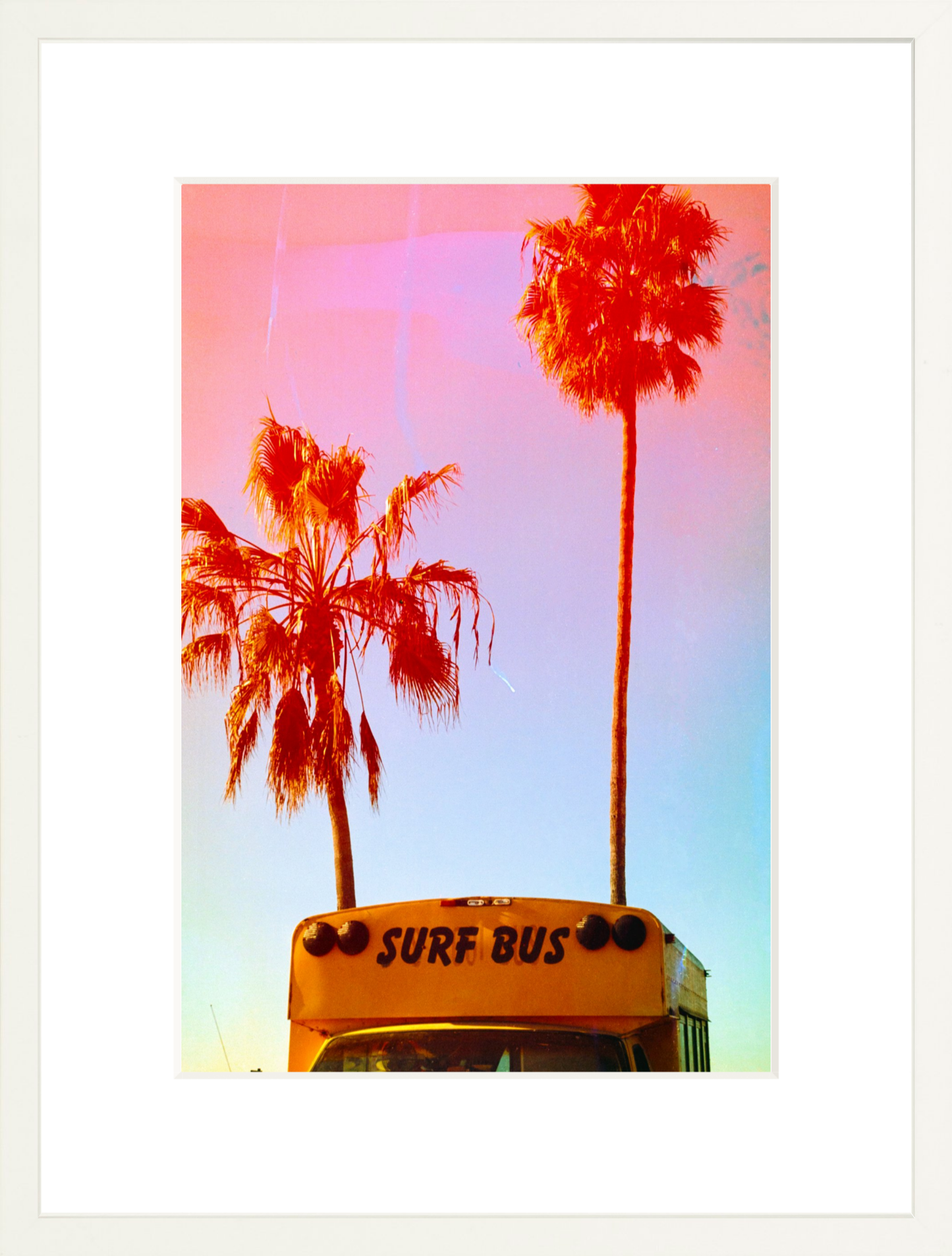 Surf Bus