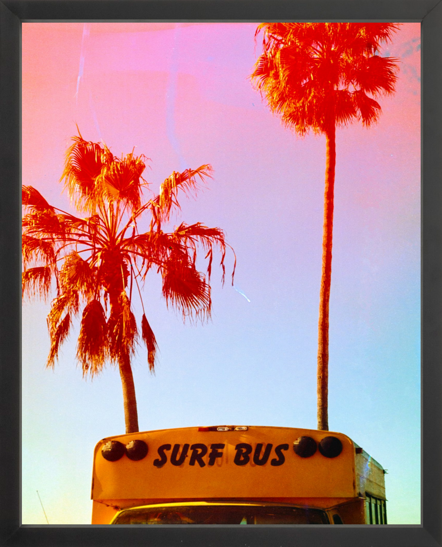 Surf Bus