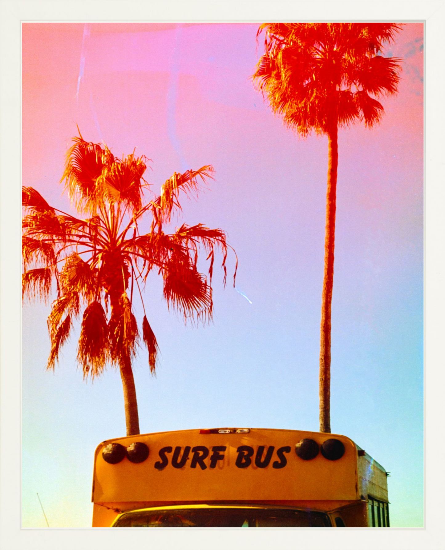 Surf Bus